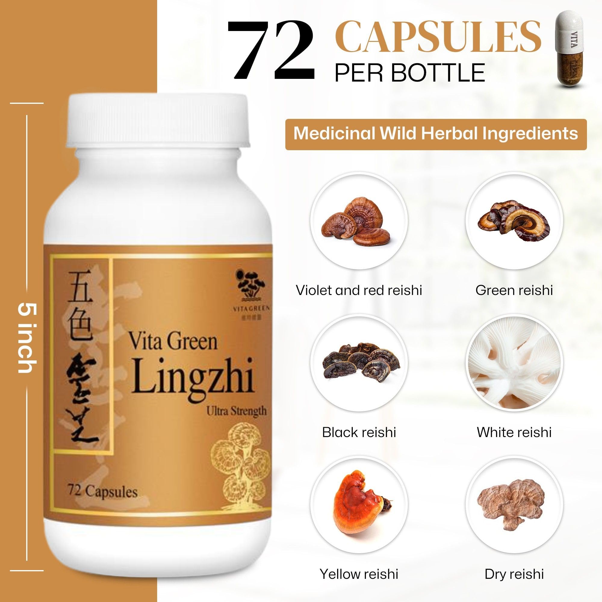 Vita Green Lingzhi Mushroom Capsules – Pure Reishi with Natural Antioxidants for Wellness, Energy & Immune Support – 72 Capsules