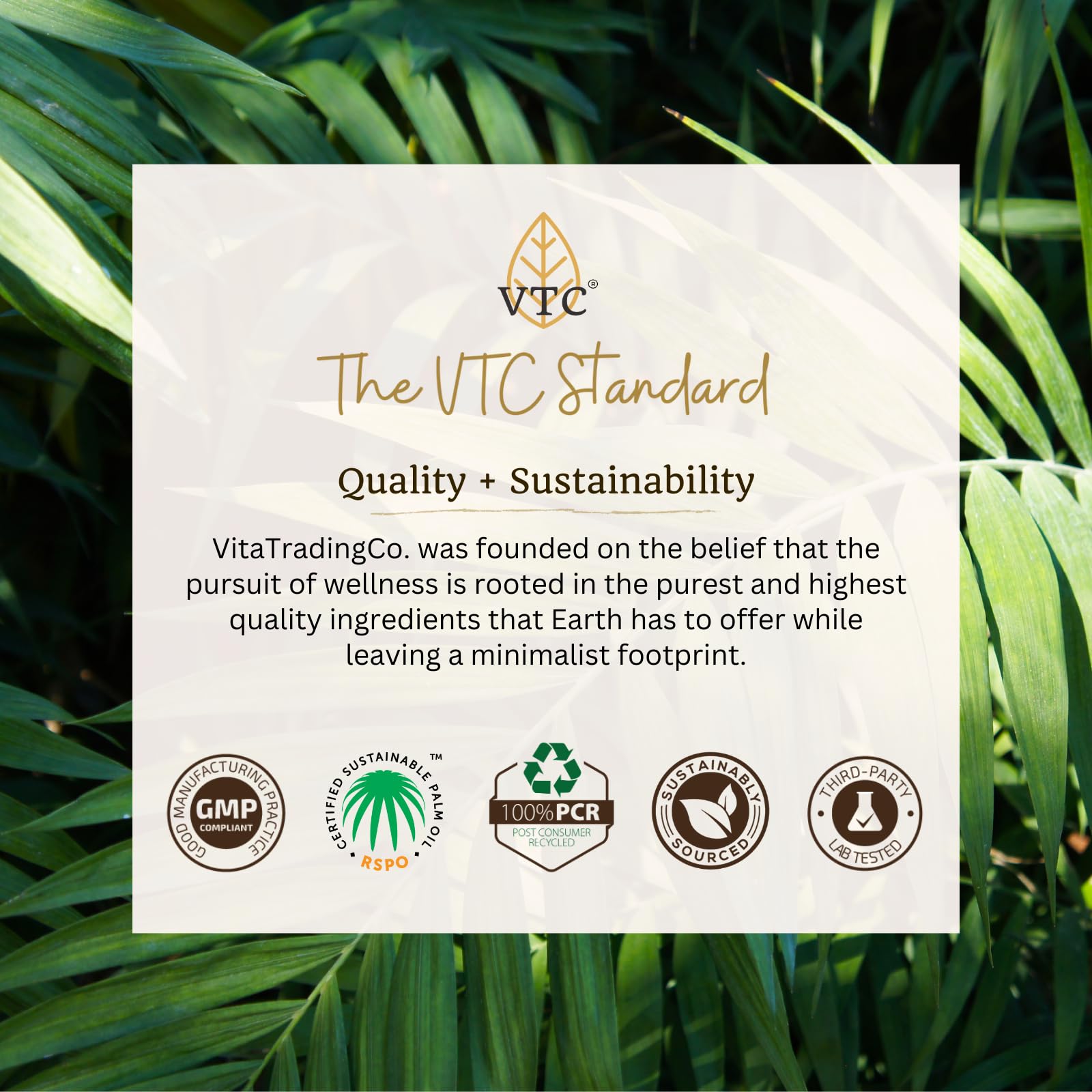 VTC VitaTradingCo. 100% Pure C8 MCT Oil | 128oz, 3X Distilled, Keto & Paleo