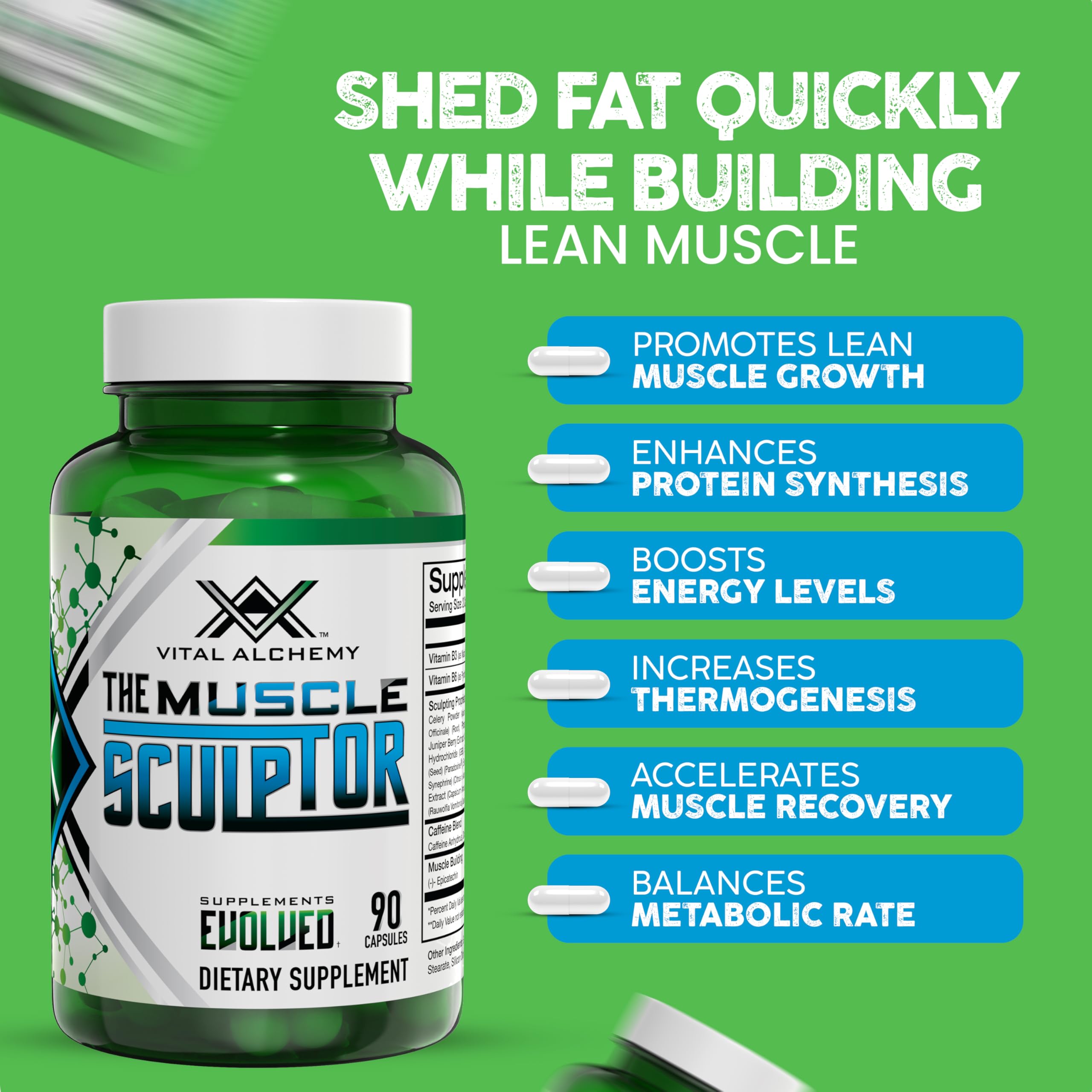 Vital Alchemy The Muscle Sculptor – Muscle Builder with B3, B6, Epicatechin & Cayenne | Made in USA
