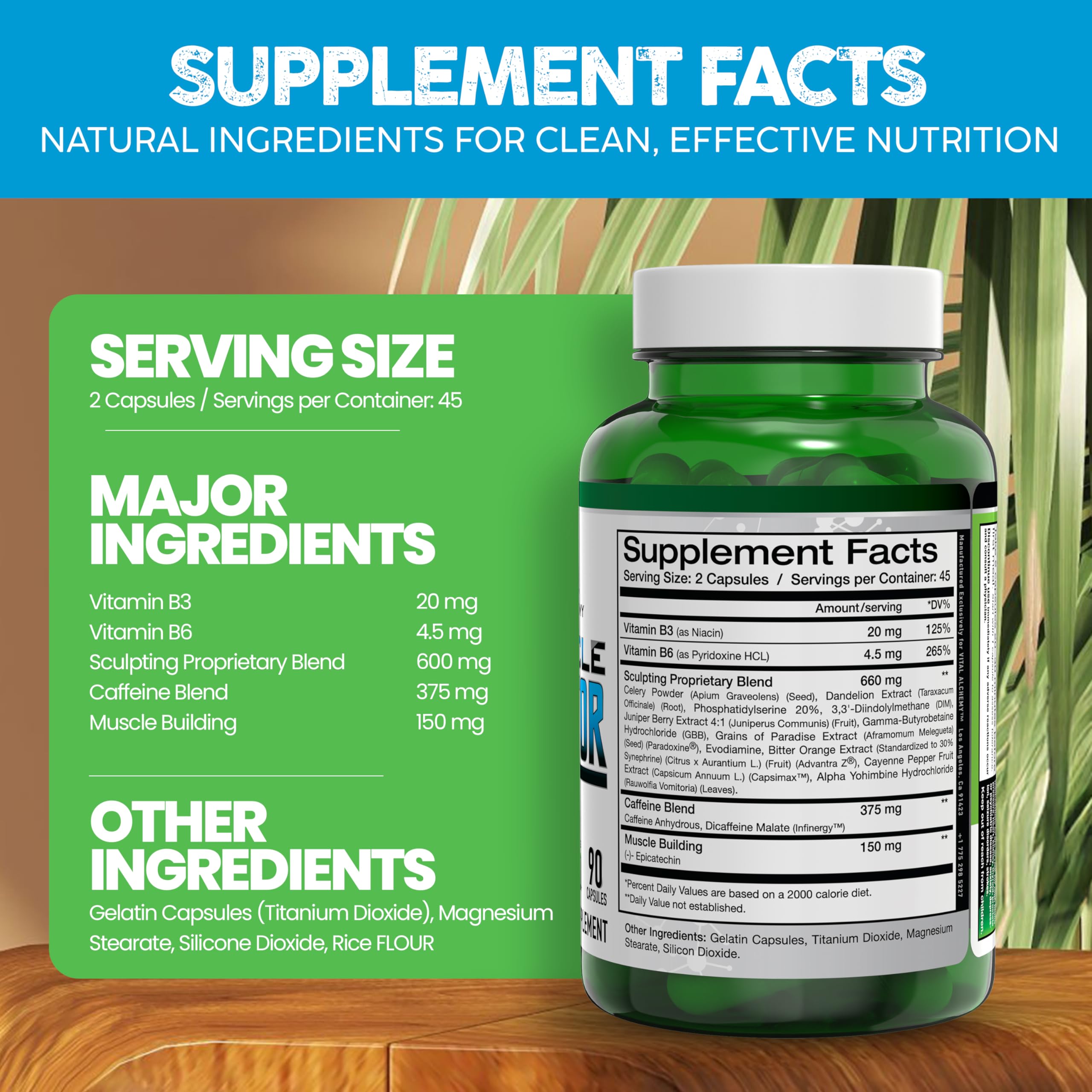 Vital Alchemy The Muscle Sculptor – Muscle Builder with B3, B6, Epicatechin & Cayenne | Made in USA