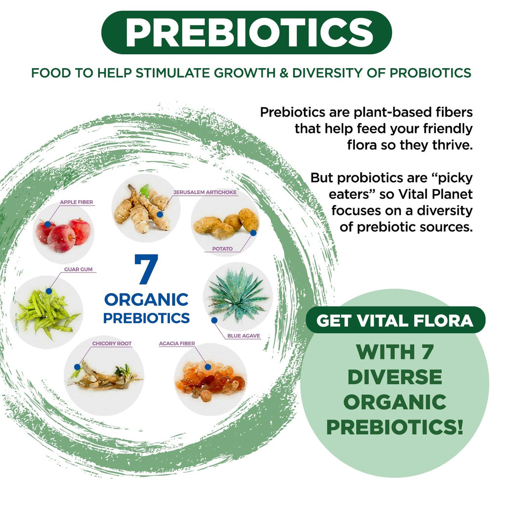 Vital Flora 60B CFU Probiotic for Adults 55+ | Vital Planet Shelf-Stable