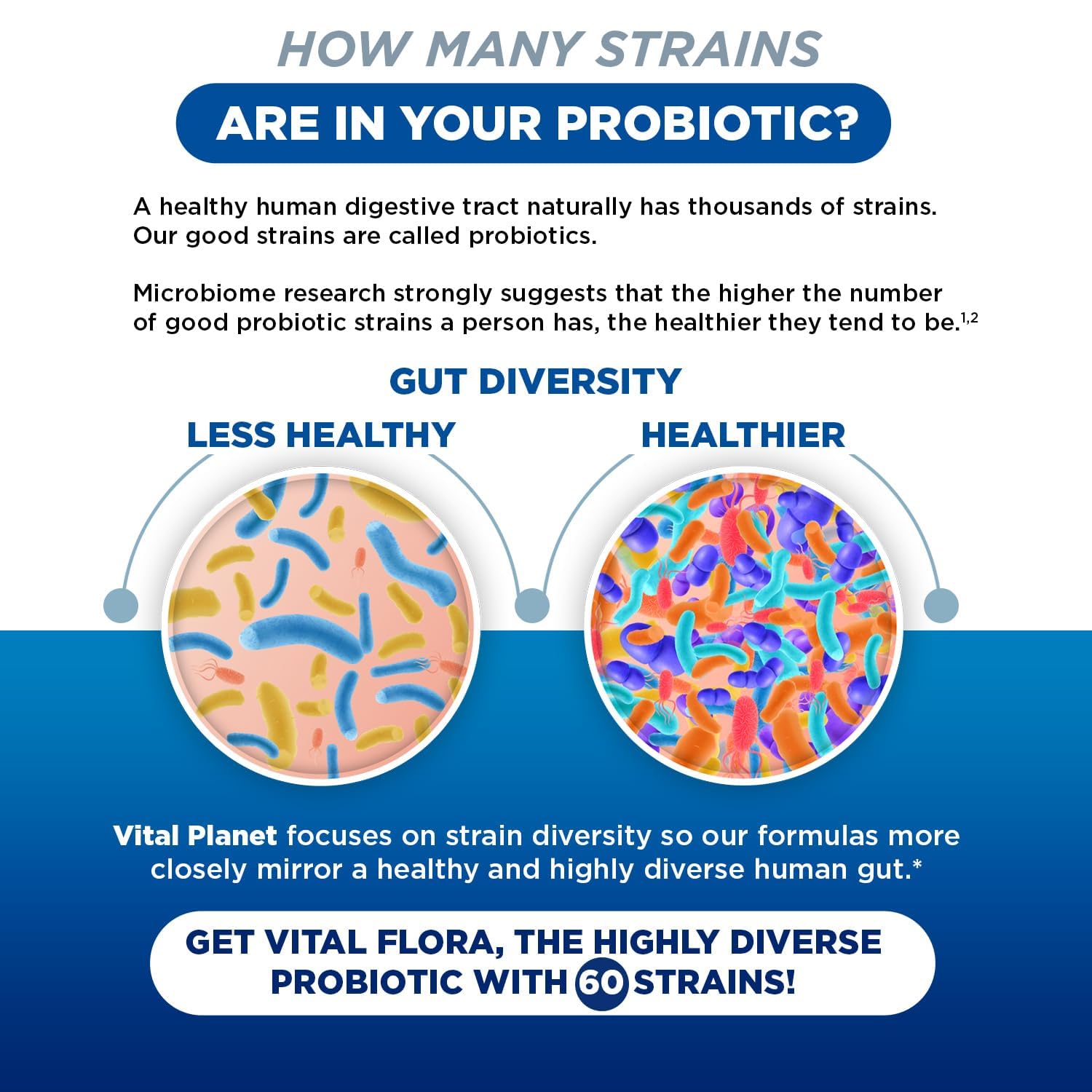 Vital Flora 60B CFU Probiotic for Adults 55+ | Vital Planet Shelf-Stable