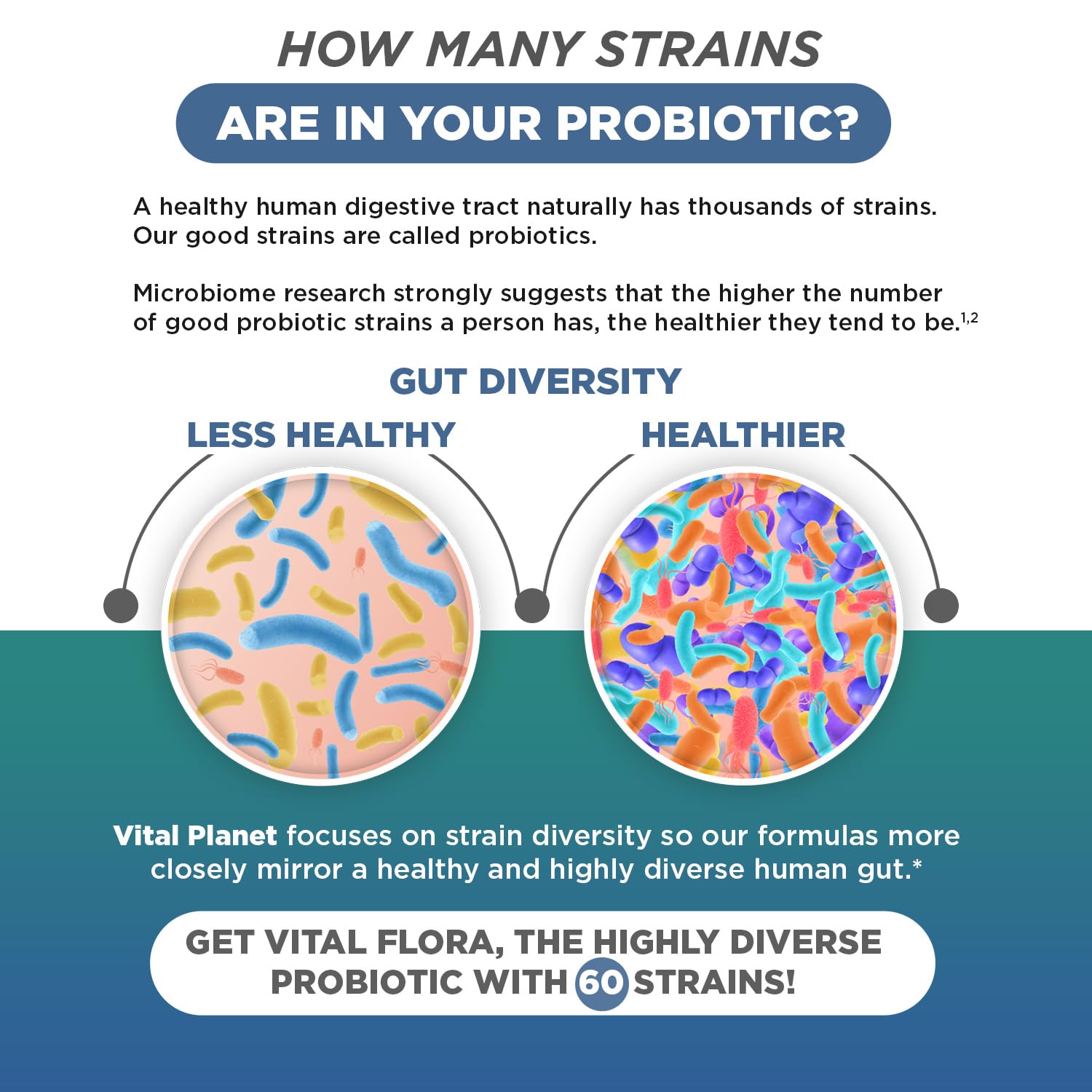 Vital Flora Men 55+ Daily Probiotic - 60B CFU, 60 Strains | Vital Planet