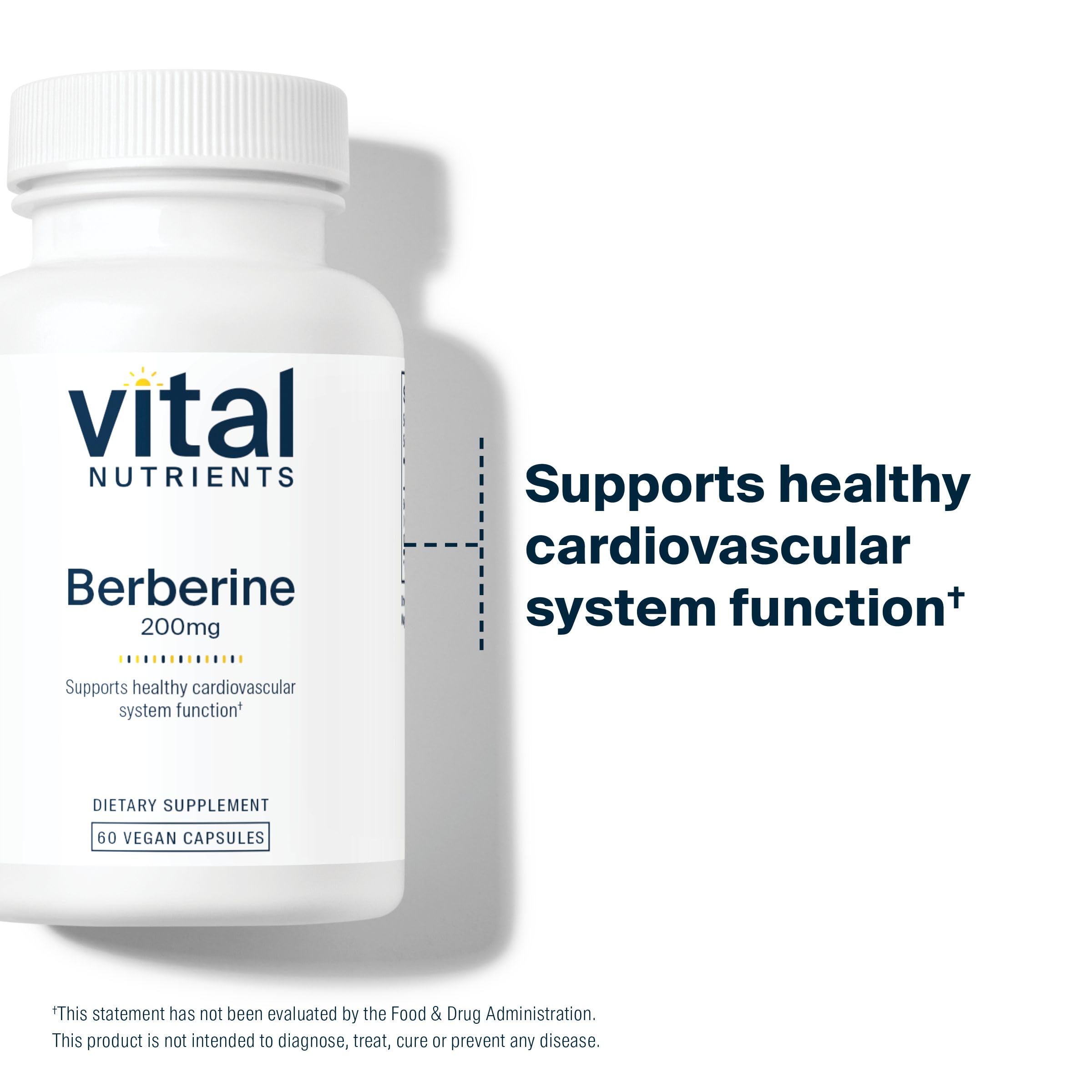 Vital Nutrients Berberine | Supports Healthy Bowel Function and Normal Triglyceride Levels | Vegan Supplement | Gluten, Dairy and Soy Free | 200 mg | 60 Capsules