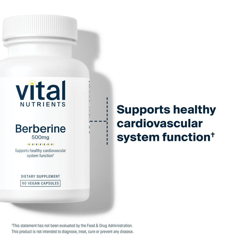 Vital Nutrients Berberine 500 mg Vegan Capsule — Supports Gut Function & Normal Triglyceride Levels | Gluten, Dairy & Soy Free | 60 Capsules