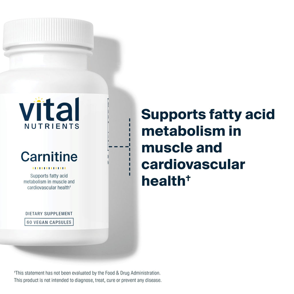 Vital Nutrients Carnitine 500mg – L-Carnitine for Heart Health | Vegan, Gluten & Dairy Free | 60 Capsules