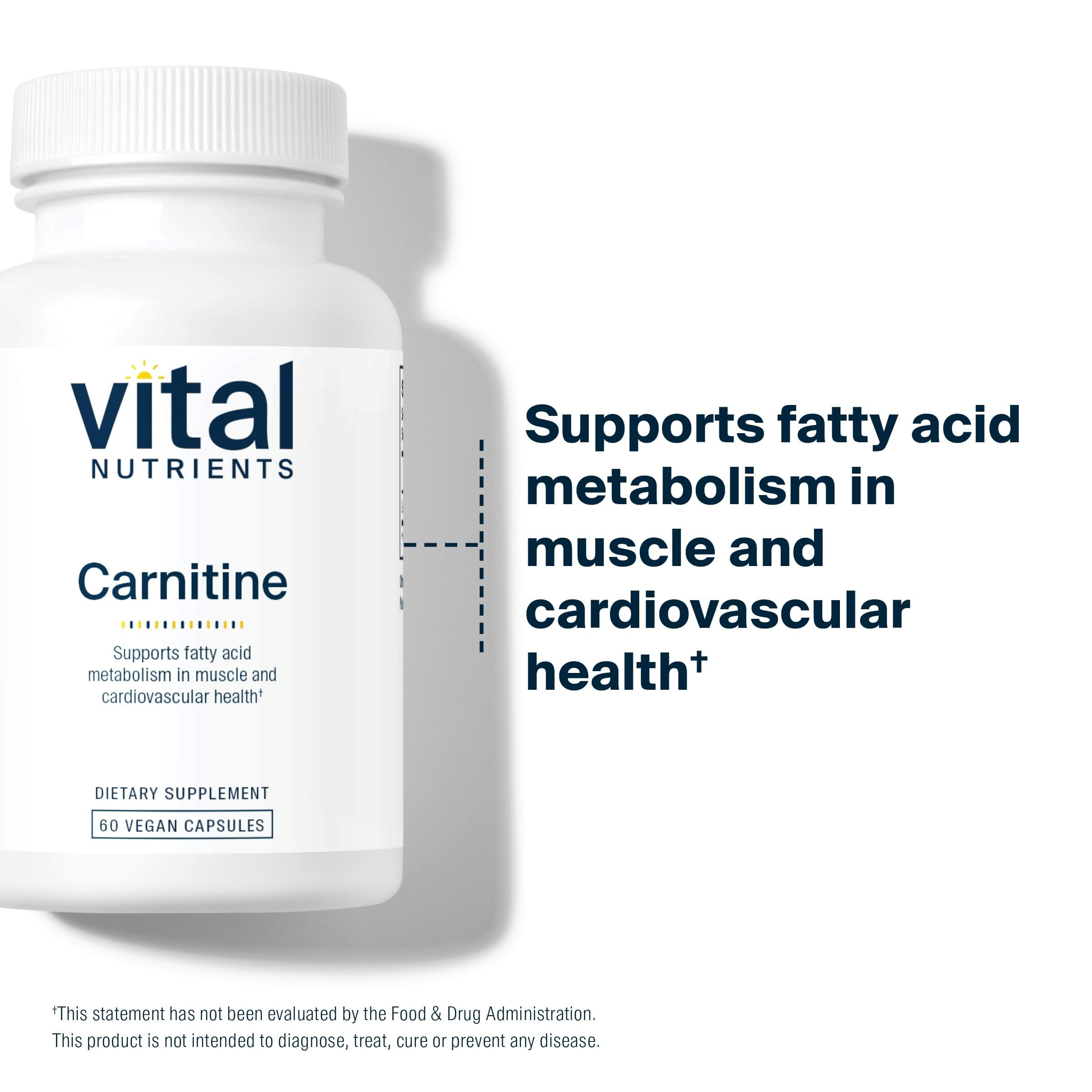 Vital Nutrients Carnitine 500mg – L-Carnitine for Heart Health | Vegan, Gluten & Dairy Free | 60 Capsules