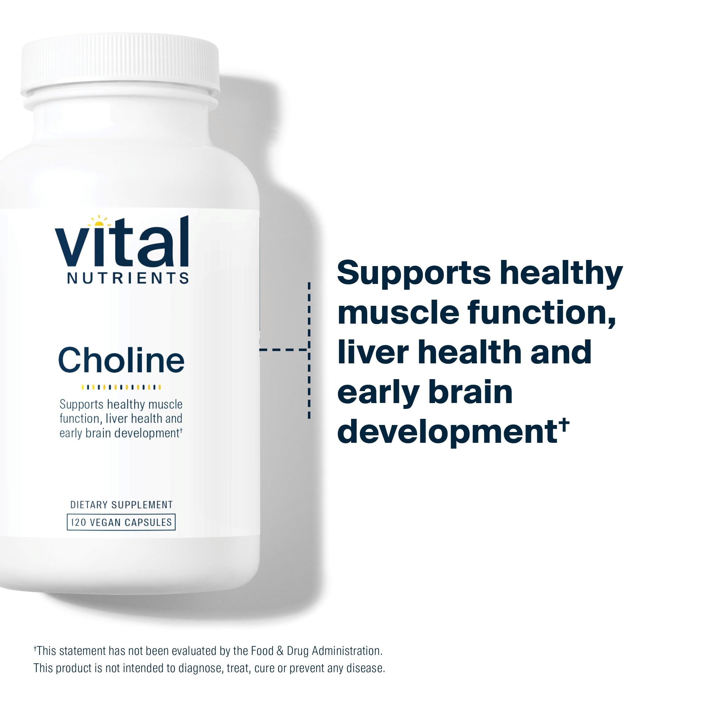 Vital Nutrients Choline 550mg – Vegan, Non-GMO, 100% RDA | 120 Capsules