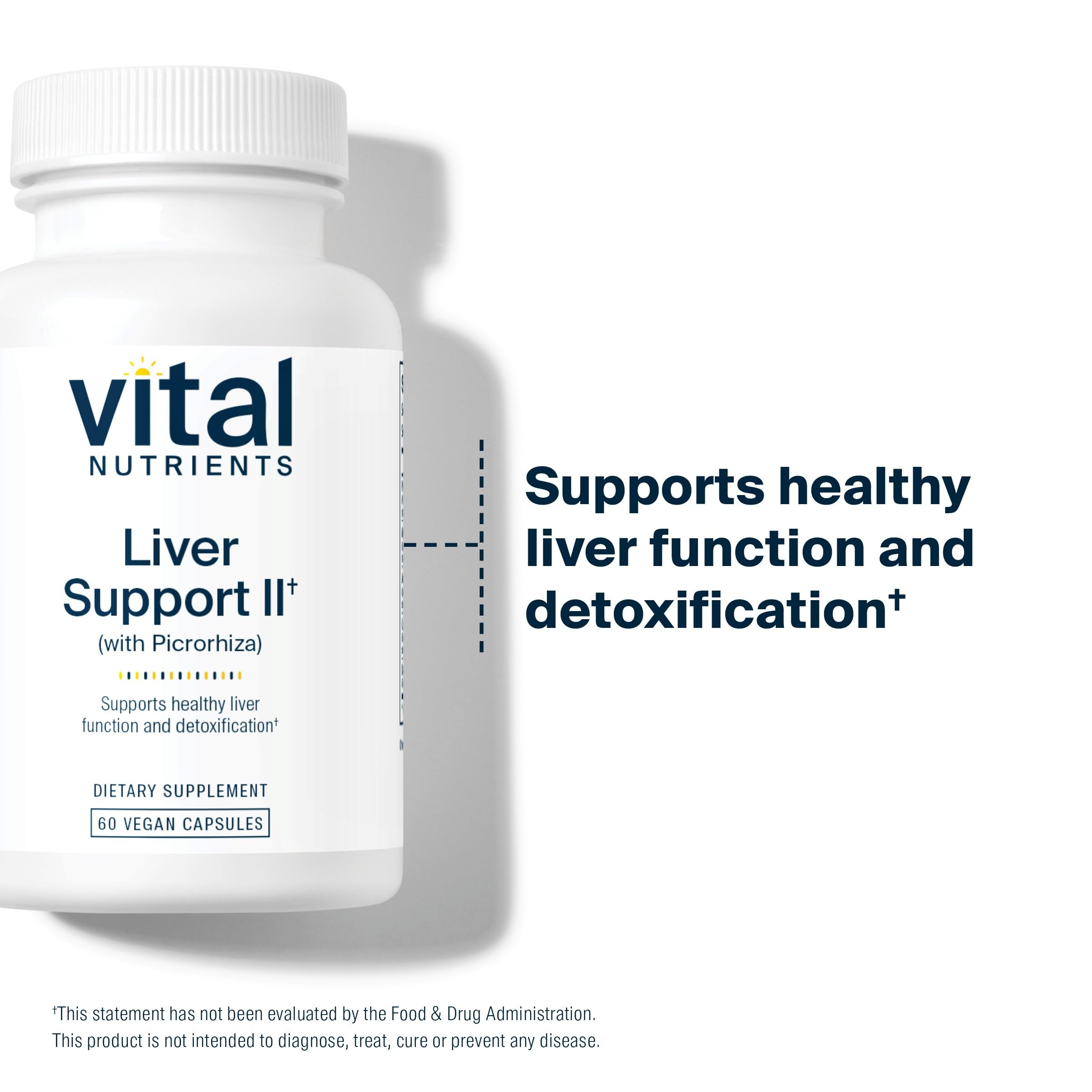 Vital Nutrients Liver Support II – Vegan Herbal Capsule Blend with Picrorhiza, Milk Thistle & Curcumin | Gluten-Free 60 Capsules