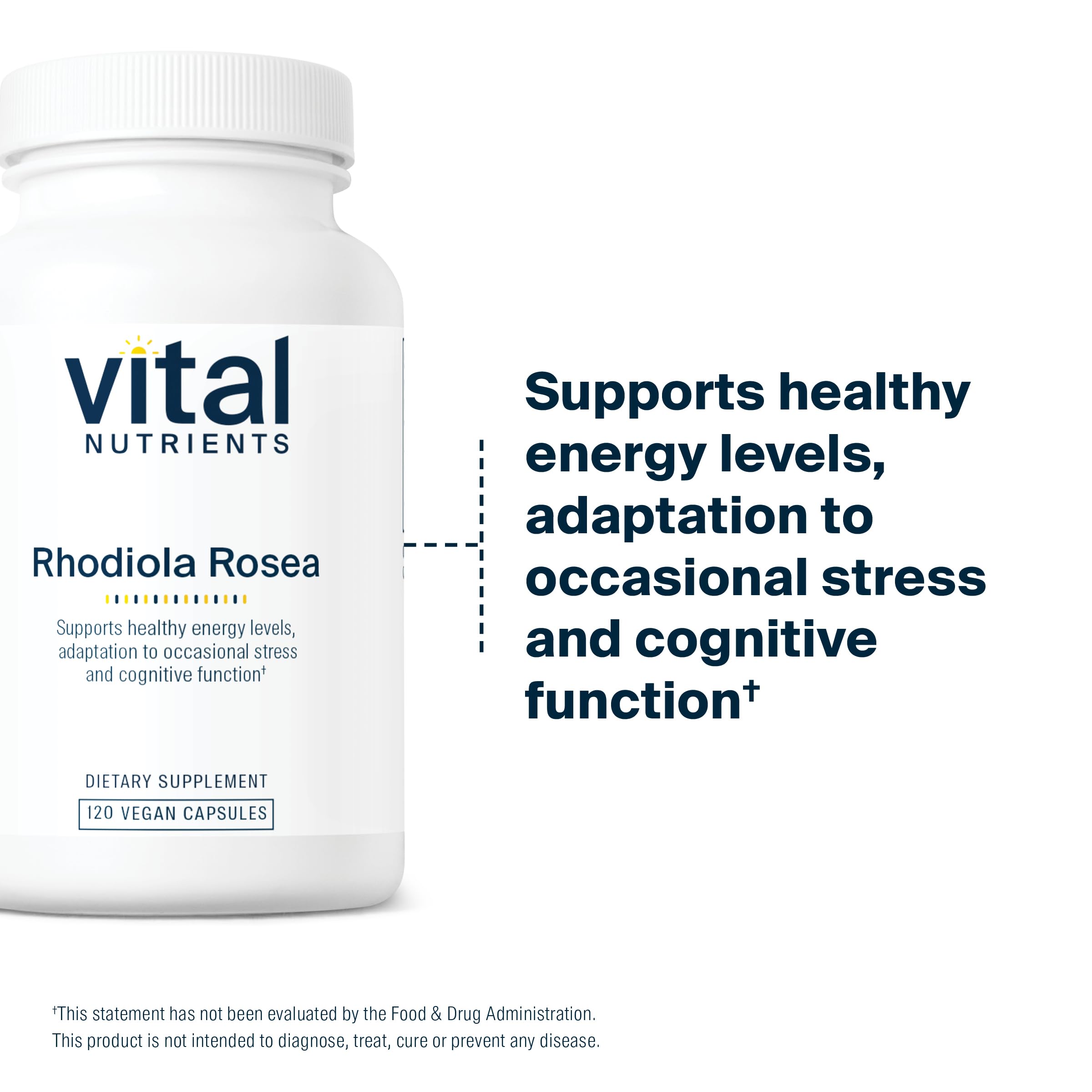 Vital Nutrients Rhodiola Rosea | Energy, Memory & Stress Support | 120 Capsules | Gluten, Dairy & Soy Free | Non-GMO