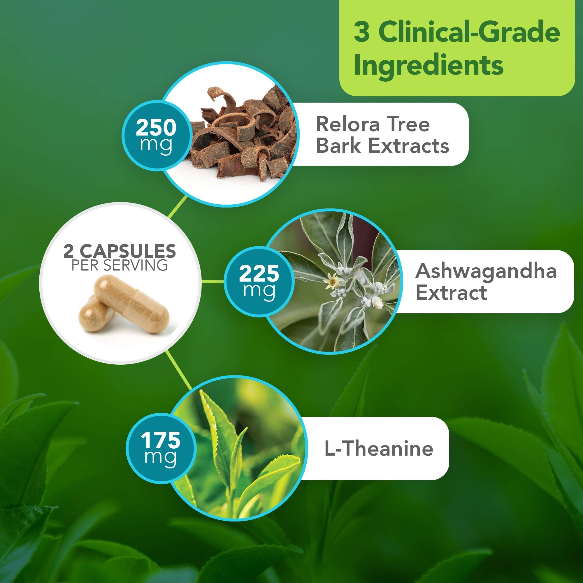 Vital Plan HPA Balance Adrenal Support - Dr. Bill Rawls | Sensoril Ashwagandha