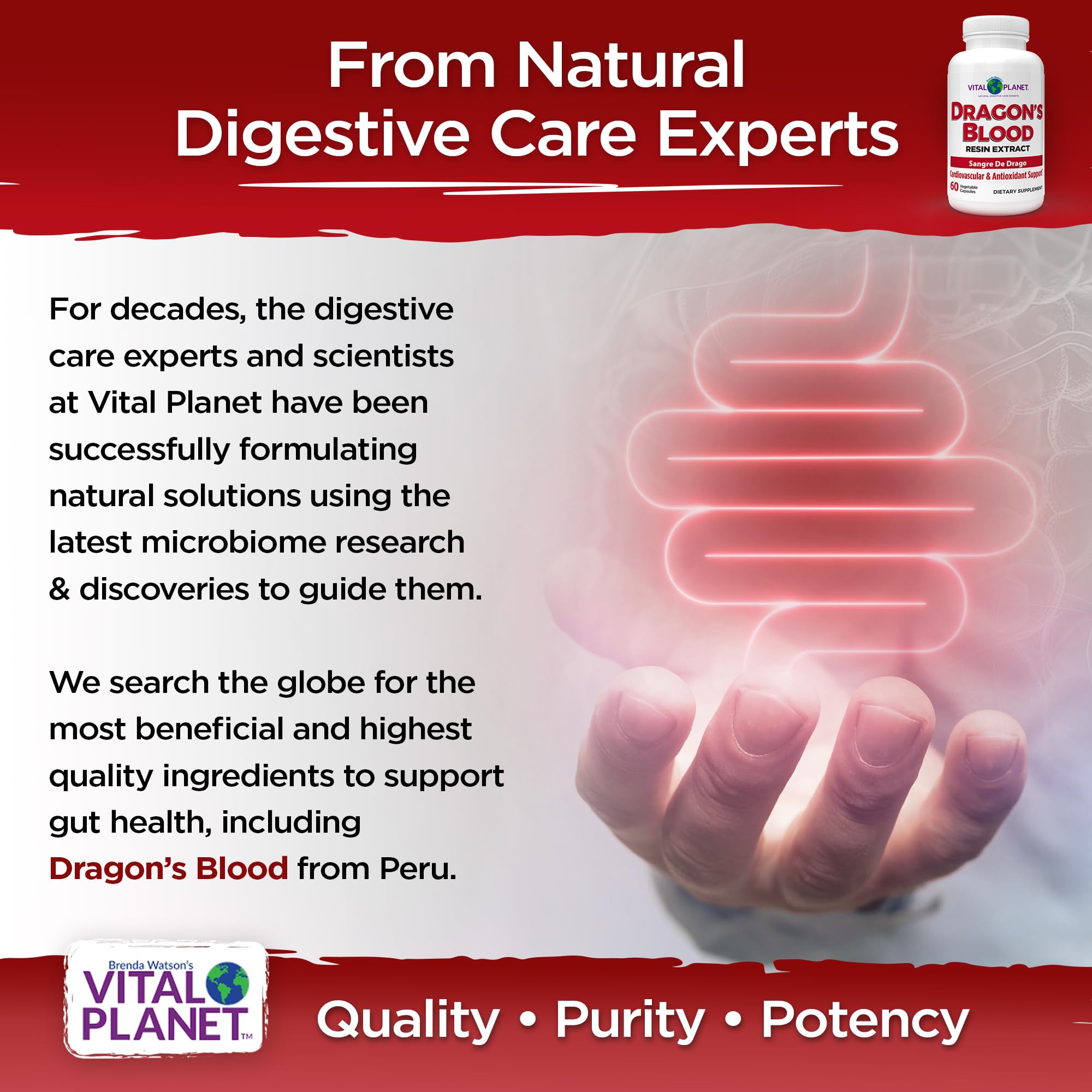 Vital Planet Dragon's Blood Resin Extract Croton lechleri – Digestive Health, 500 mg, 60 Capsules
