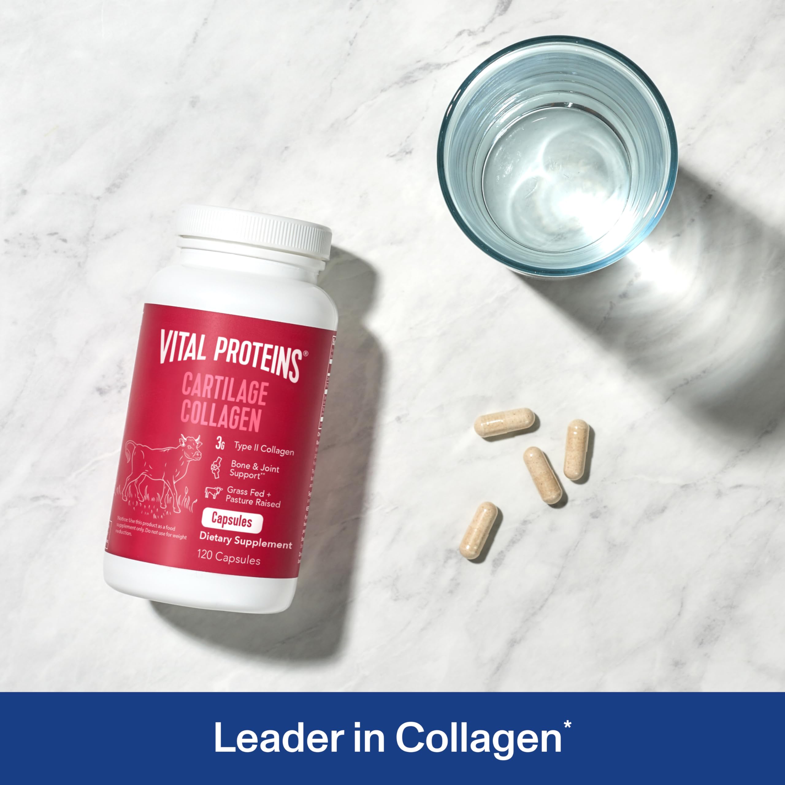 Vital Proteins Cartilage Capsules – Type II Collagen & Chondroitin, 750 mg, 120 Capsules
