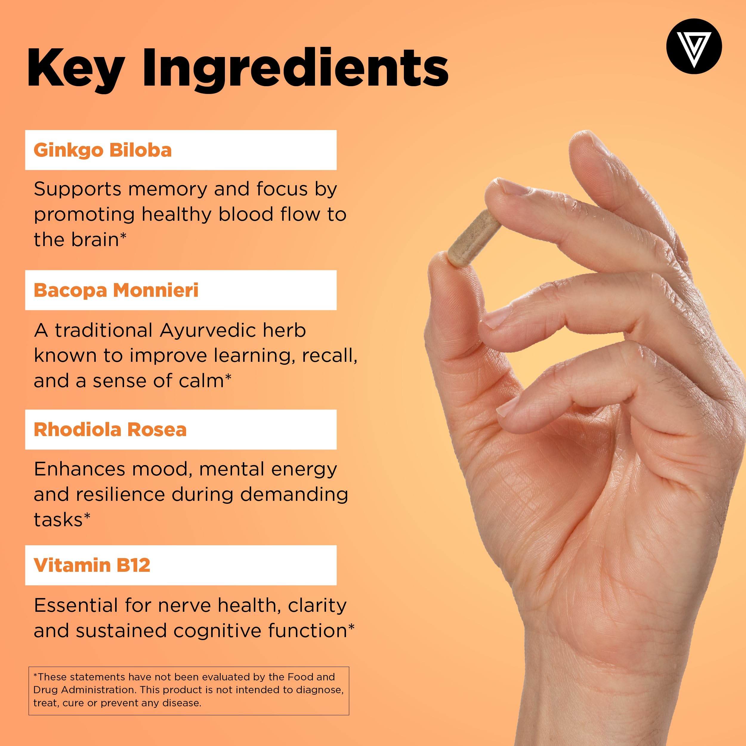 Vital Vitamins Brain Booster (3-Pack) – Memory & Focus Nootropic with Ginkgo, Rhodiola, B12 – Caffeine-Free, 90-Day Supply