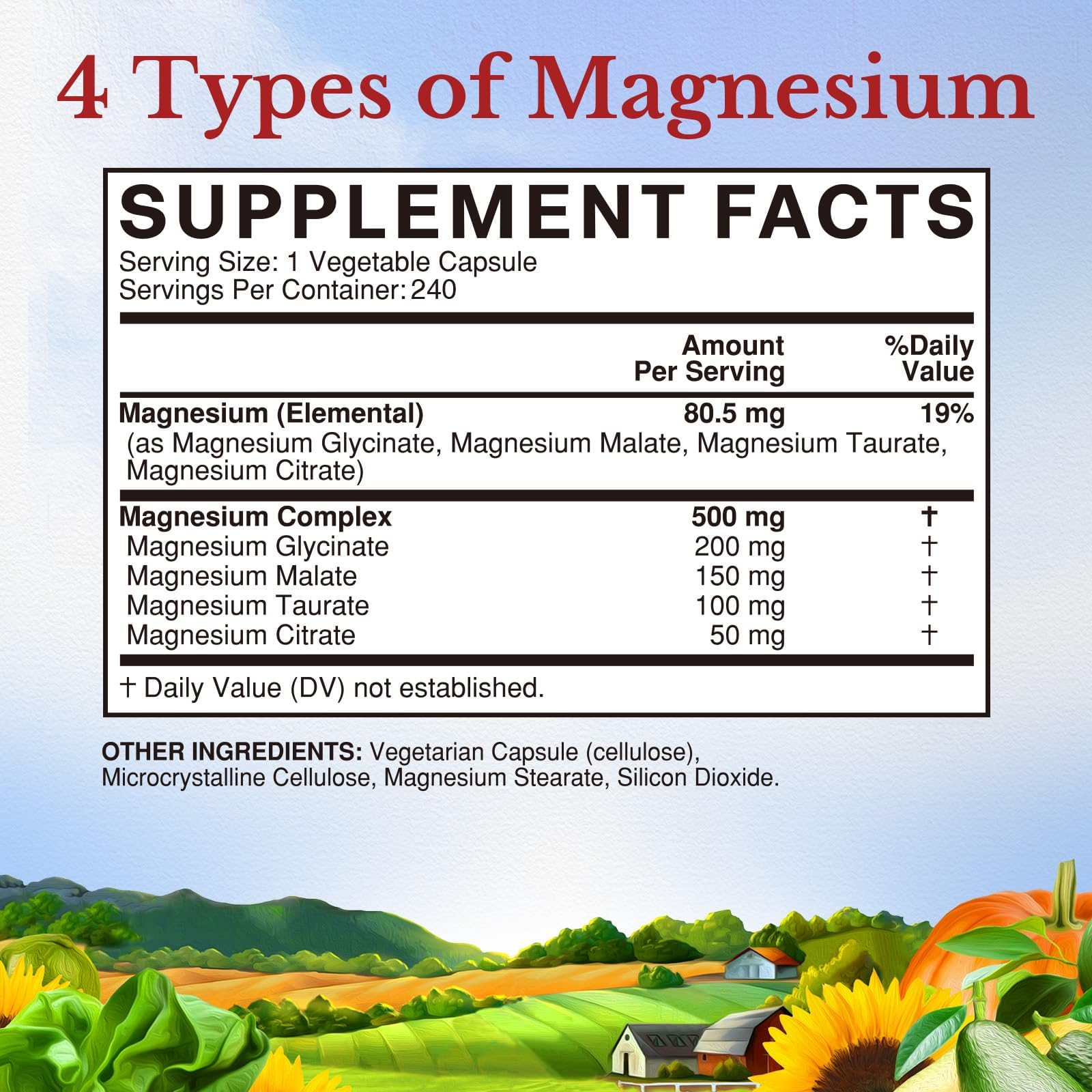 Vitalitown Magnesium Complex 500 mg | Chelated Glycinate, Citrate, Taurate & Malate | 240 Vegan Capsules | NSF Certified