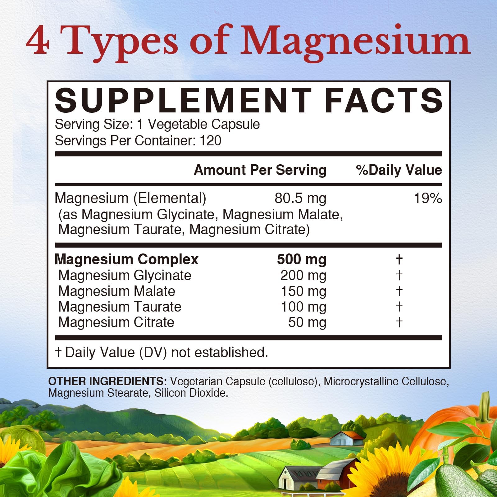 Vitalitown Magnesium Complex 500mg - Four Chelated Forms, NSF Certified