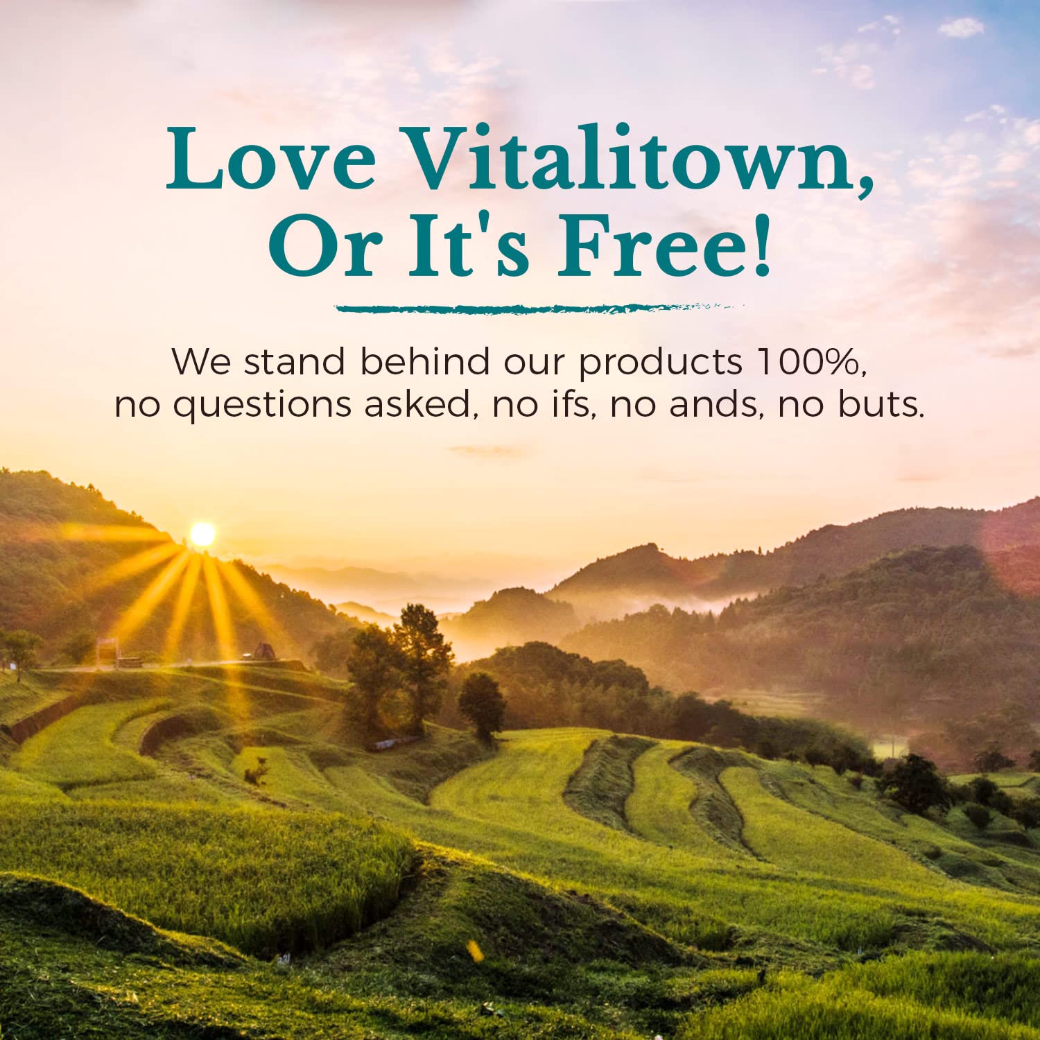 Vitalitown Probiotics 120B CFUs – 36 Strains, Prebiotics & Enzymes