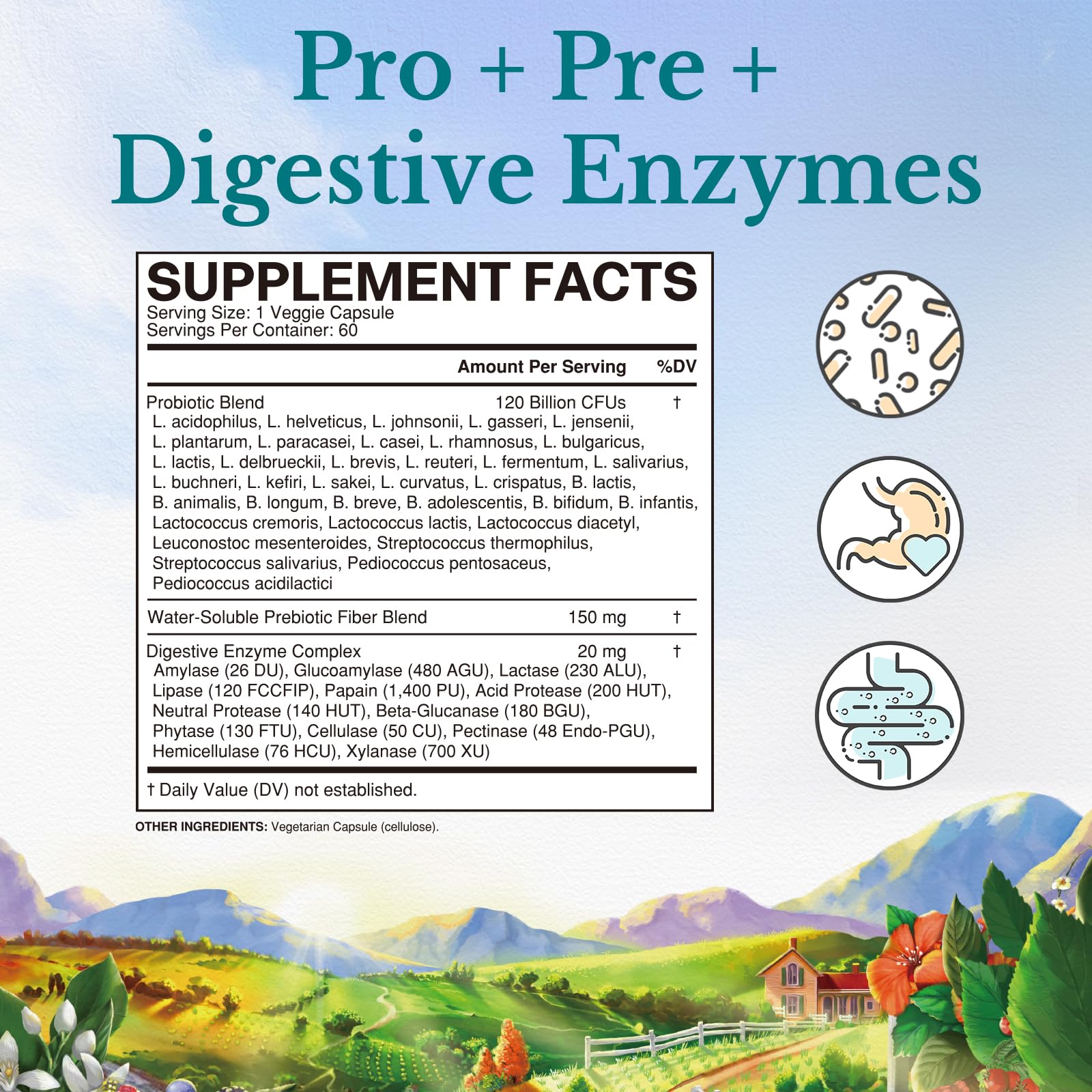 Vitalitown Probiotics 120 Billion CFUs | 36 Strains | Prebiotics & Digestive Enzymes | Shelf Stable | Vegan & Non-GMO | 60 Delayed-Release Veg Caps