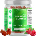 Vitamatic Irish Sea Moss Gummies mg - 240 Vegan Gummies - Made with Bladderwrack & Burdock Root - Seamoss Supplement - Gluten Free & Non-GMO