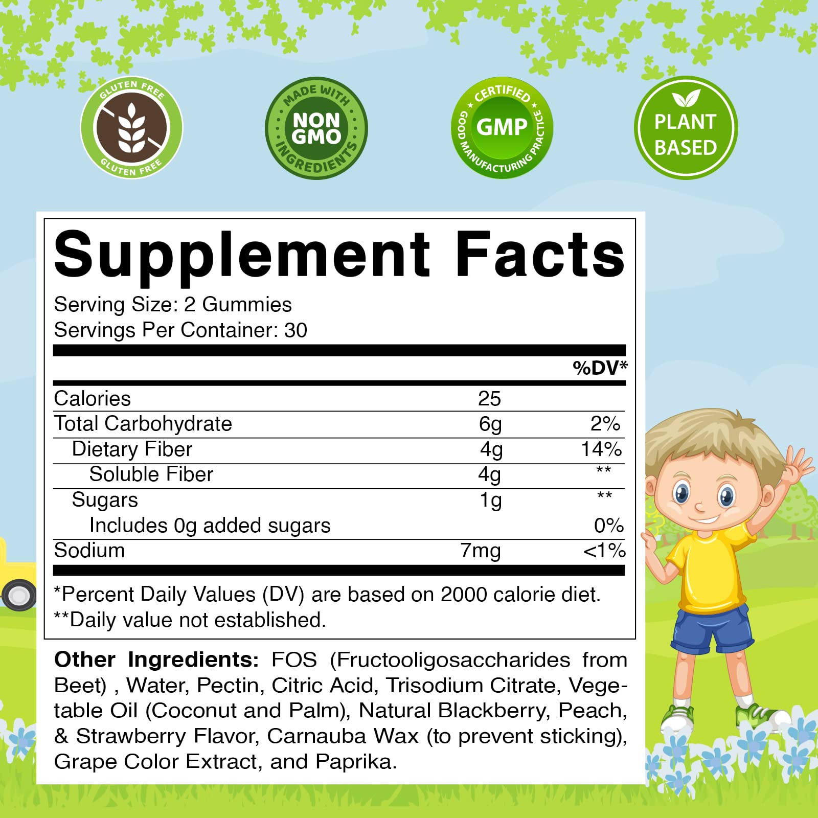 Vitamatic Kids Prebiotic Fiber Gummies – 4g Fiber, Zero Sugar, Pack of 2