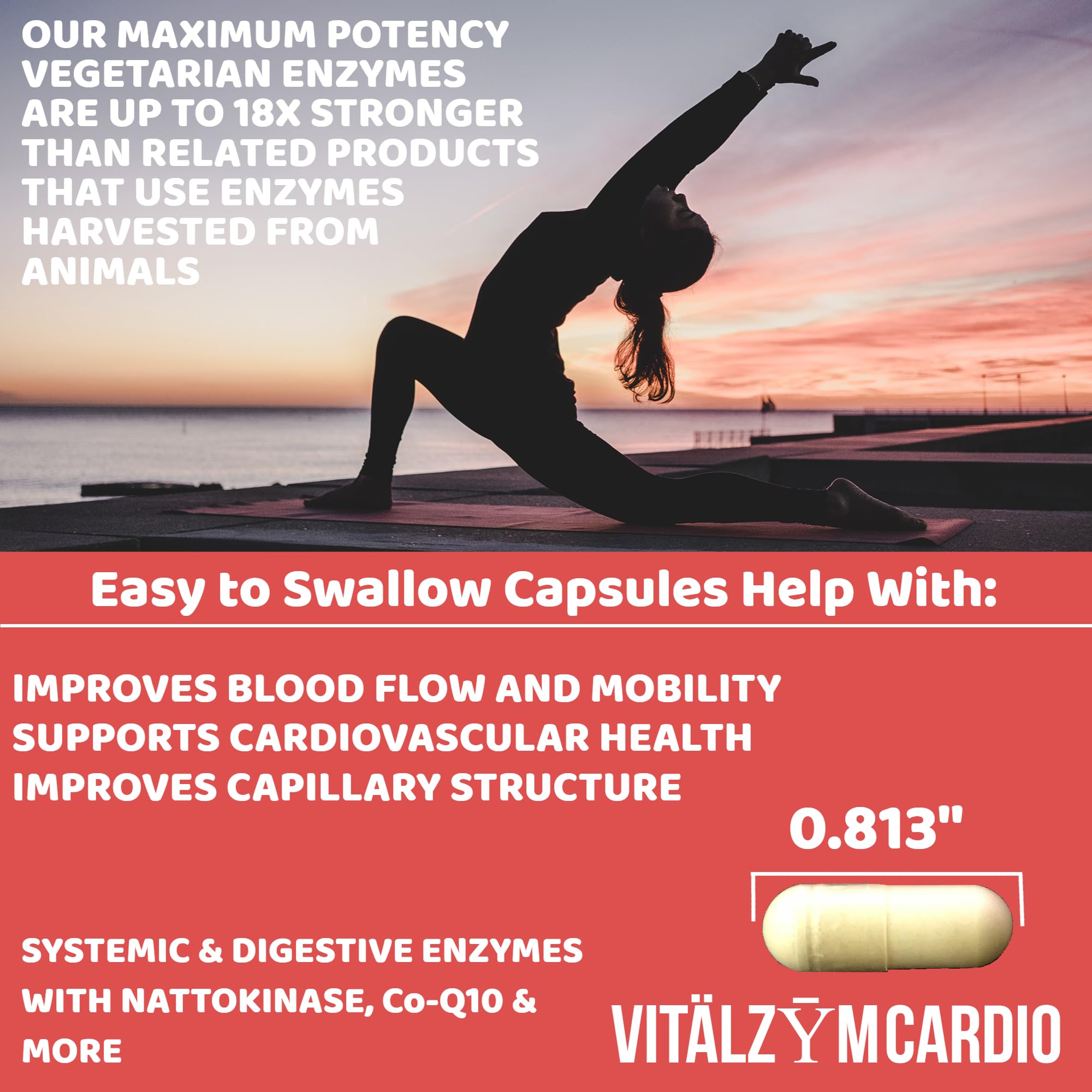 VITÄLZYM Cardio Proteolytic Systemic Enzymes – Serrapeptase, Nattokinase & CoQ10 (300 Capsules)