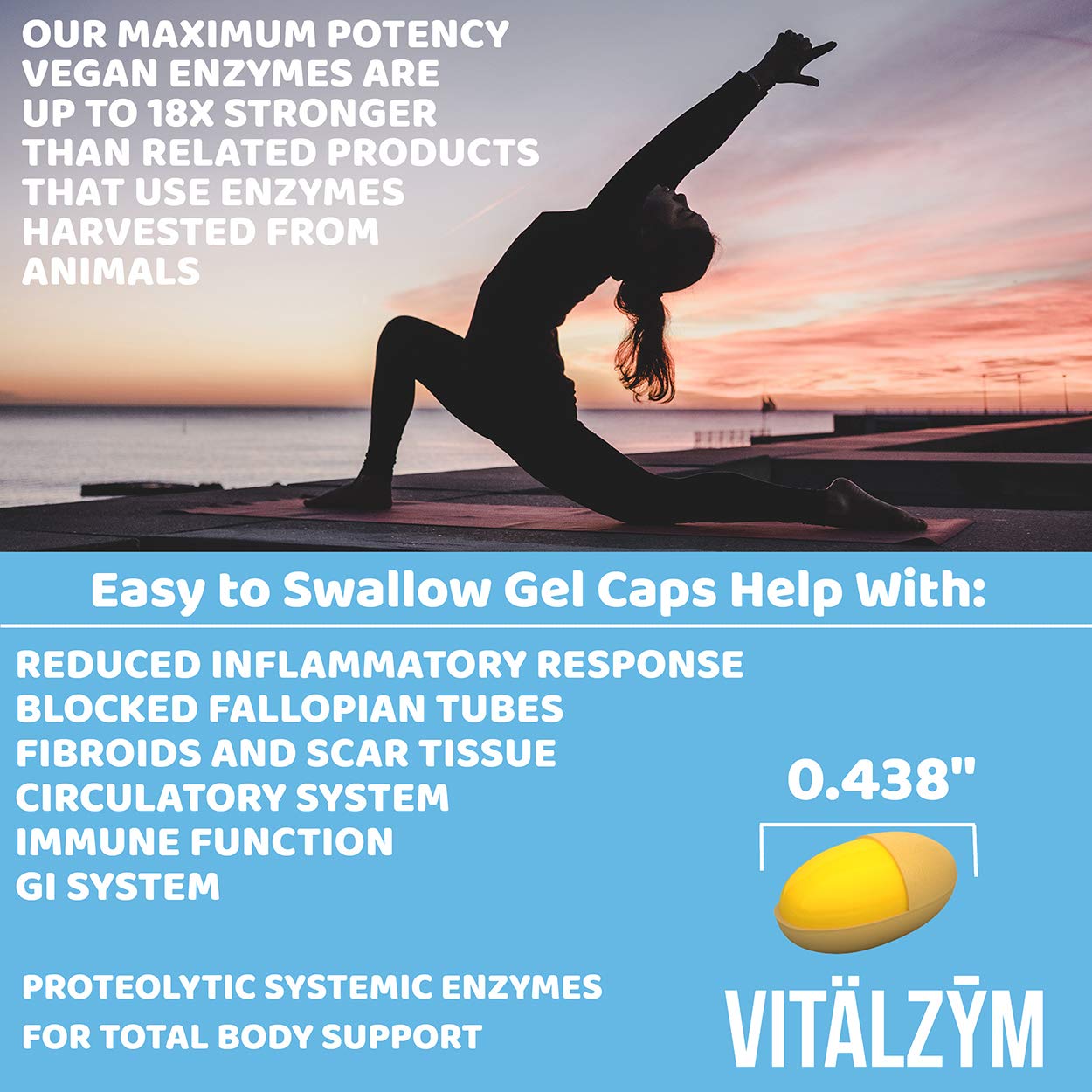 VITÄLZYM Proteolytic Systemic Enzymes Liquid Gel Capsules – Serrapeptase, Joint & Immune Support, 360 Capsules