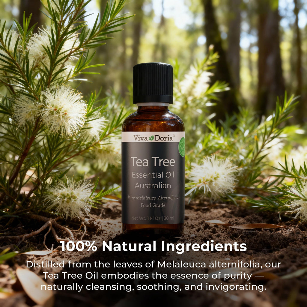 Viva Doria Tea Tree Oil 100% Pure – Australian Tea Tree Essential Oil, 30 ml