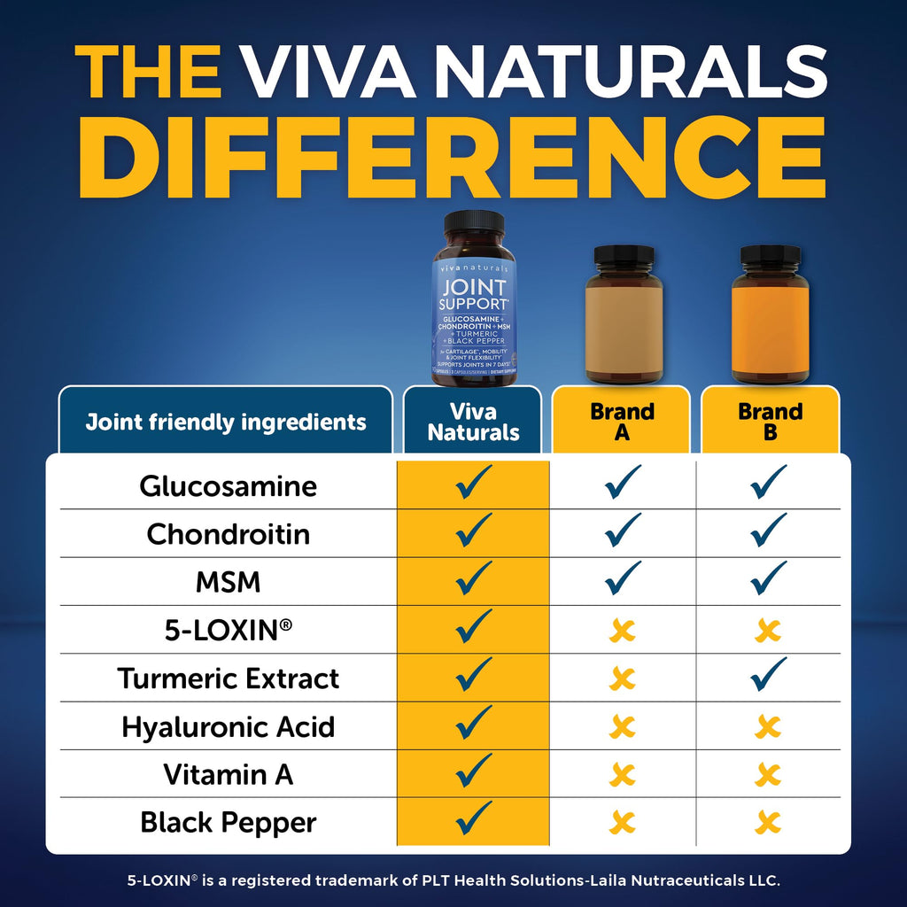 Viva Naturals Glucosamine Chondroitin MSM - 90 Capsules | Joint Health Support