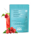 VivoNu Calm & Sleep Raspberry Powdered Drink Mix – L-Theanine, KSM-66 Ashwagandha, Magnesium Glycinate, Vitamin D3 | No Sugar, Non-GMO, 20pcs