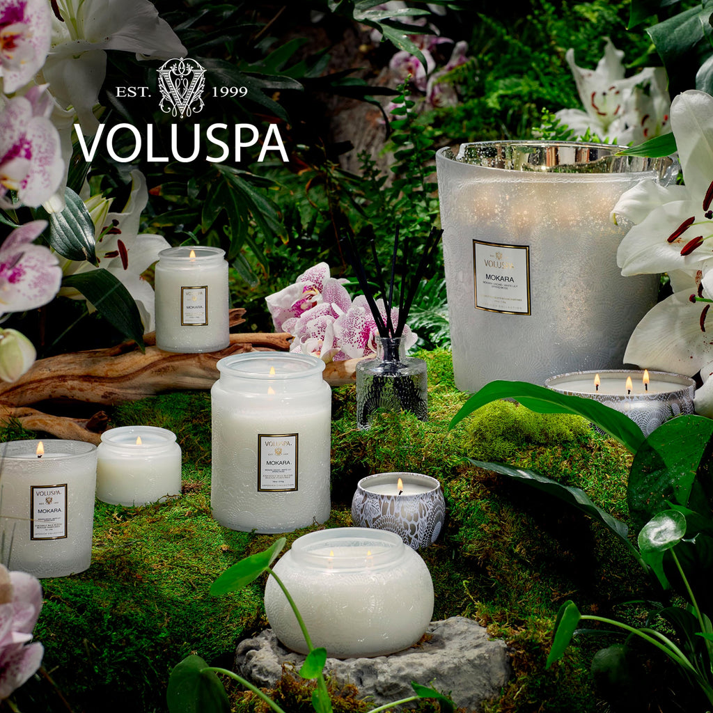 Voluspa Mokara Scented Reed Diffuser | 3.4 oz Luxury Orchid Diffuser | Handcrafted in the USA