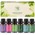 VTS Essential Oils Set (6x10ml) - Lavender, Peppermint, Eucalyptus, Tea Tree, Geranium, Rosemary