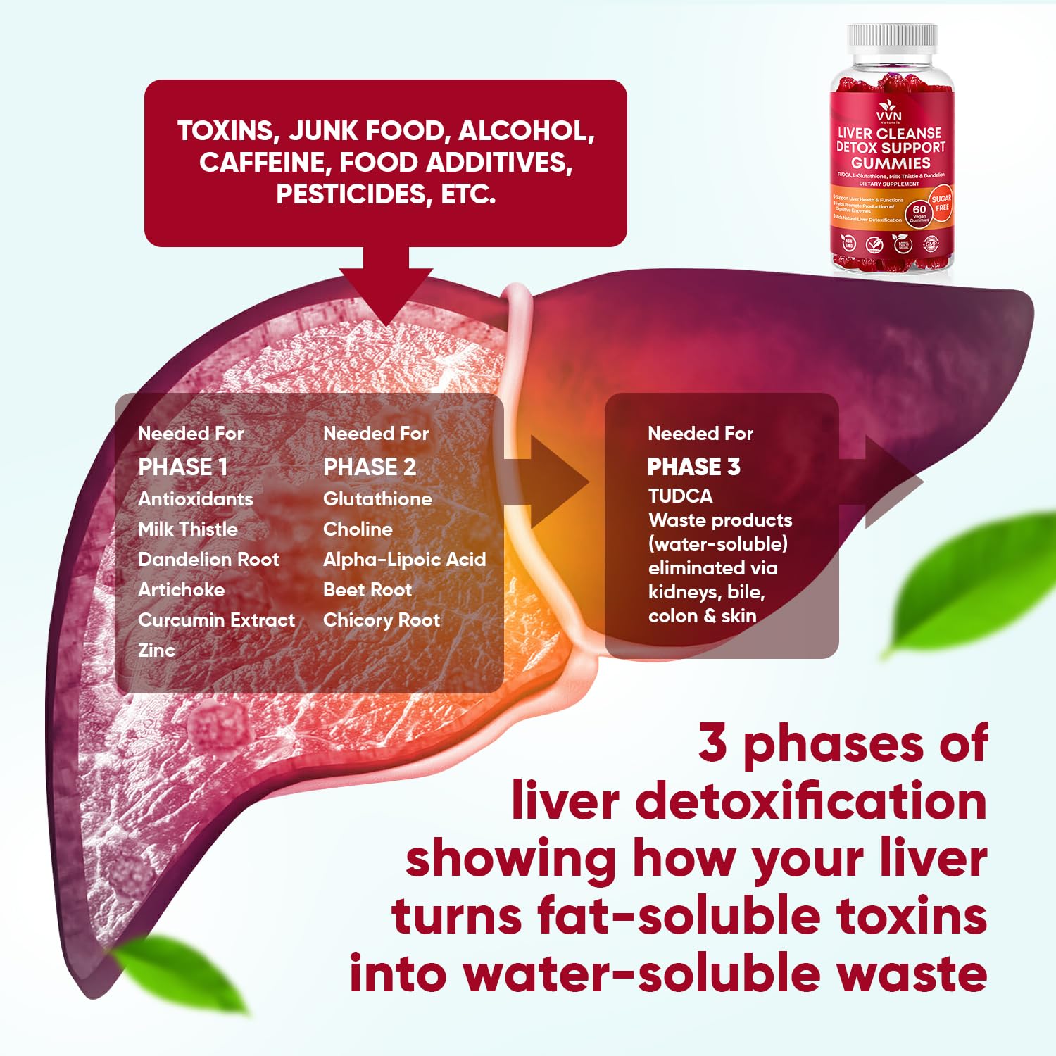 VVNaturals Sugar-Free 26-in-1 Liver Detox Gummies | Fatty Liver Repair - 60 Vegan Count
