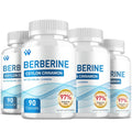 WACHRAY Berberine 1500mg – 360 Capsules (4 Pack) with Cinnamon & Bitter Melon