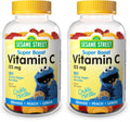 Webber Naturals Sesame Street Vitamin C Gummies for Kids 2+ – 125 mg per Gummy, 180 Gummies (Pack of 2)