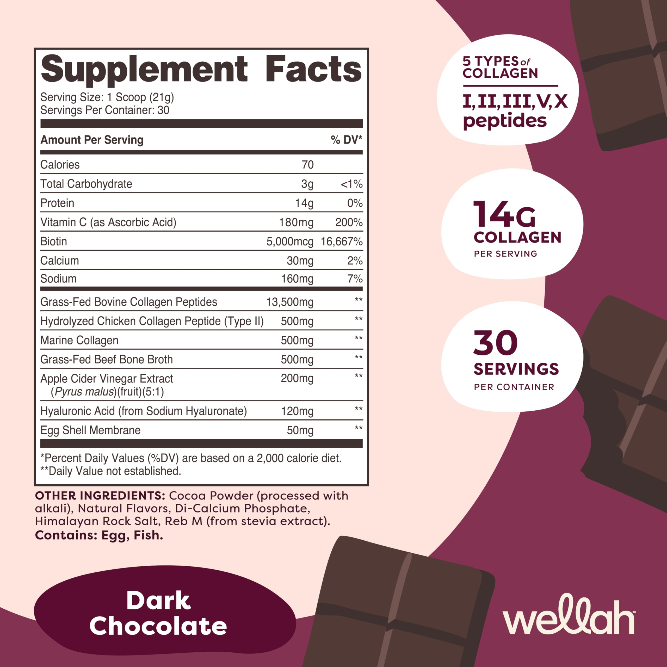 Wellah The Afterglow Multi Collagen Protein + Beauty (Dark Chocolate Flavored) 30 Servings