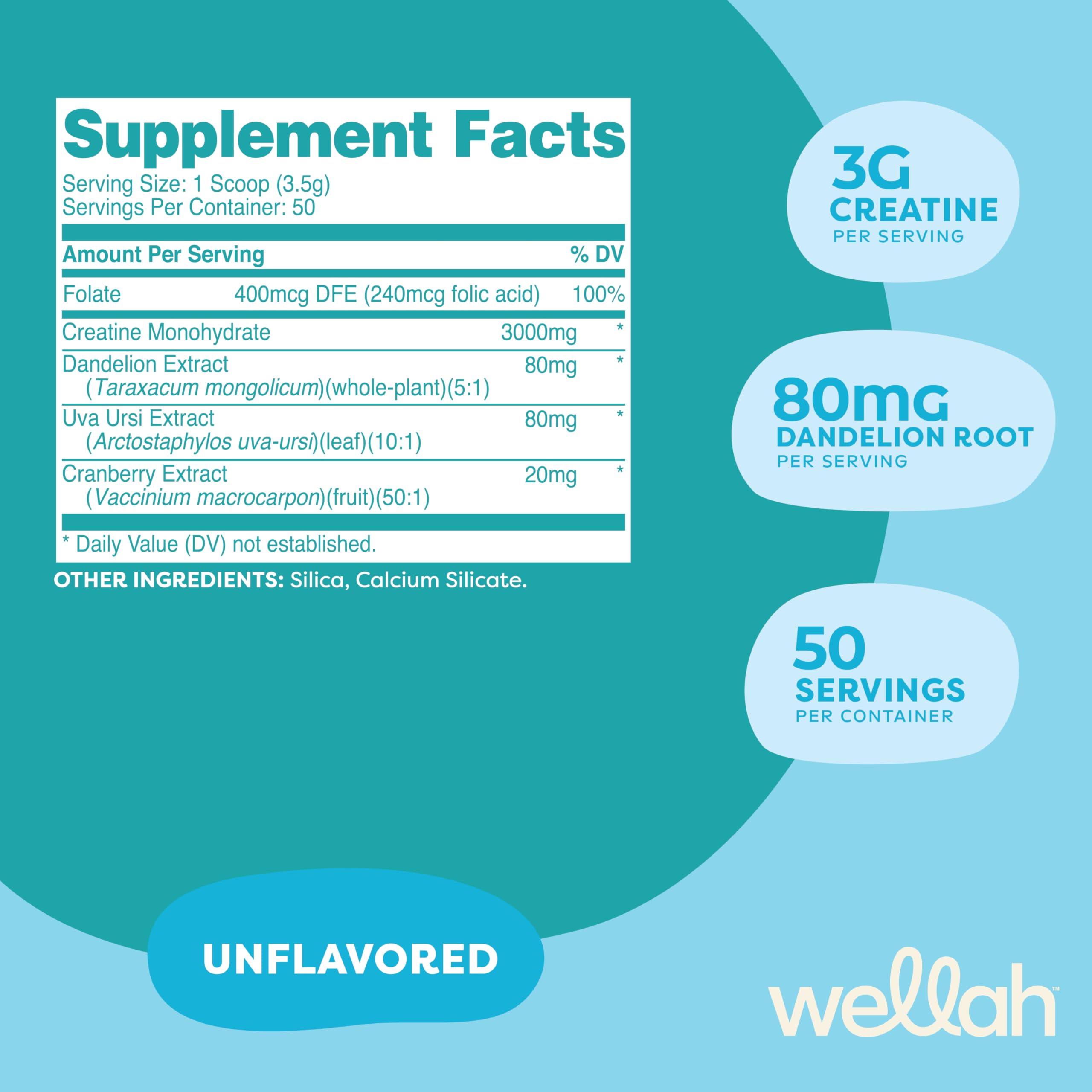 Wellah Creatine for Women – 50 Servings Unflavored | Creatine Monohydrate
