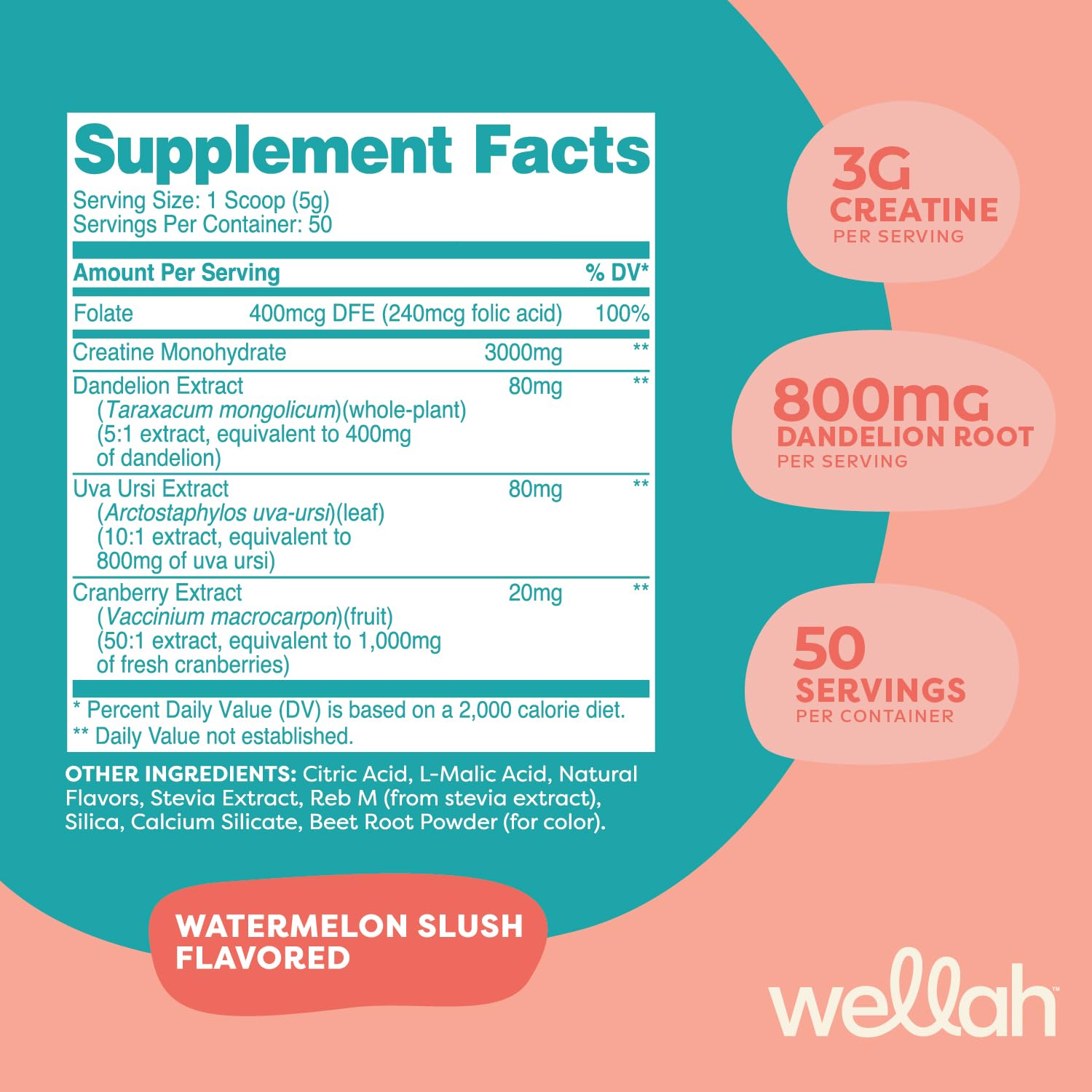Wellah Creatine for Women (50 Servings, Watermelon Slush) – Creatine Monohydrate with Dandelion & Cranberry Extract