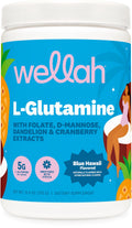 Wellah L-Glutamine Powder Blue Hawaii – 50 Servings (5g/serving) | Stevia