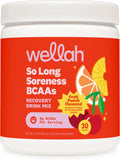 Wellah So Long Soreness BCAA Powder (Fruit Punch Flavored) 30 Servings – with Hydration Complex