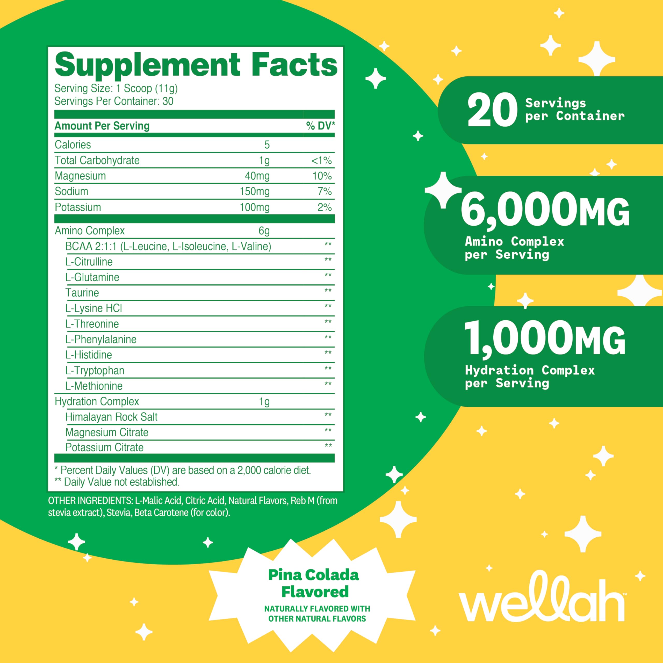Wellah So Long Soreness BCAA Powder – Pina Colada, 30 Servings (Hydration Complex)