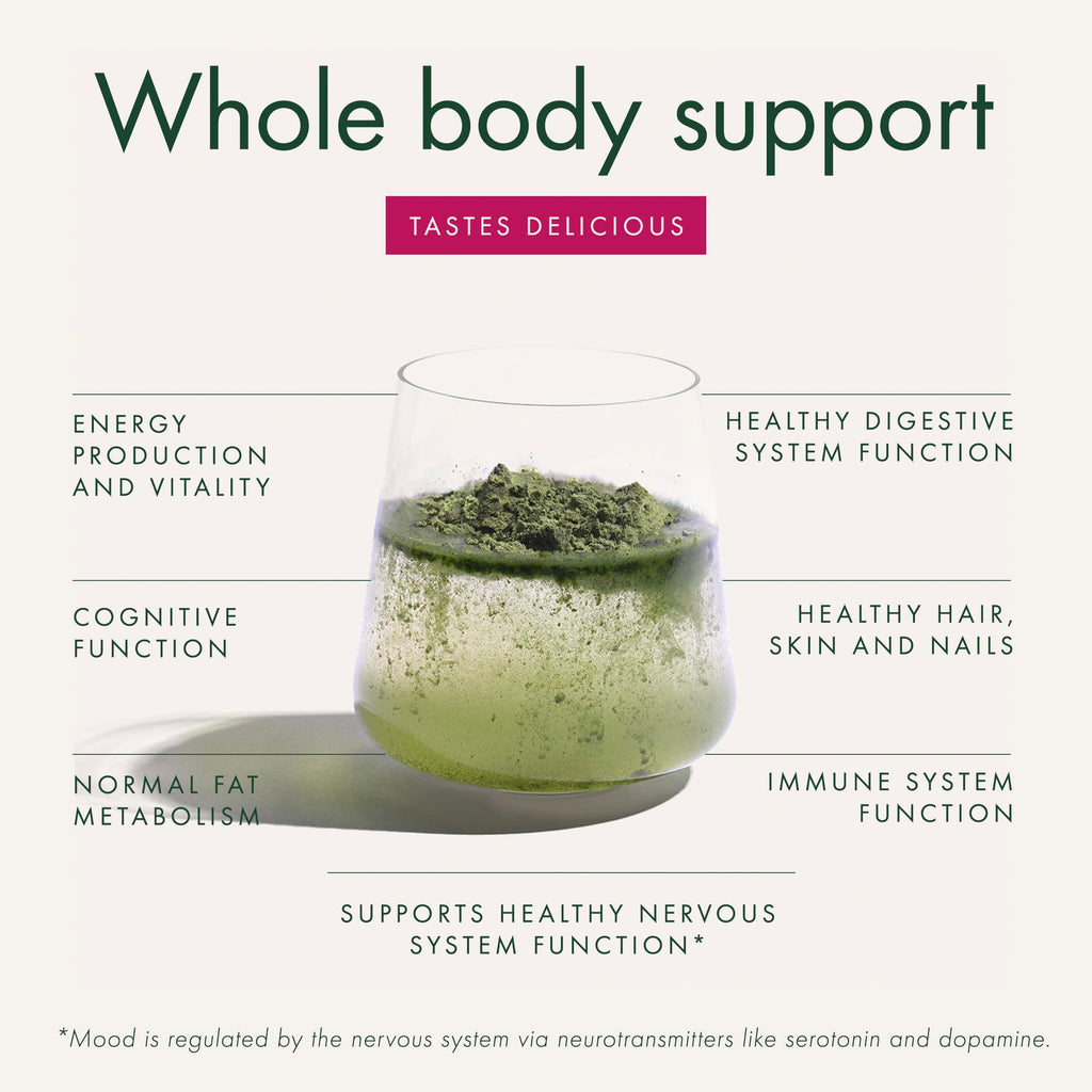 WelleCo The Super Elixir Daily Greens Powder – Probiotic Drink Mix (300g, Mixed Berry)