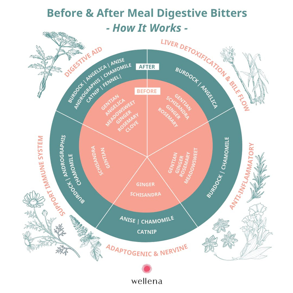 Wellena Liver & Digestive Bitters Kit – Before & After Meal Liquid Herbal Support