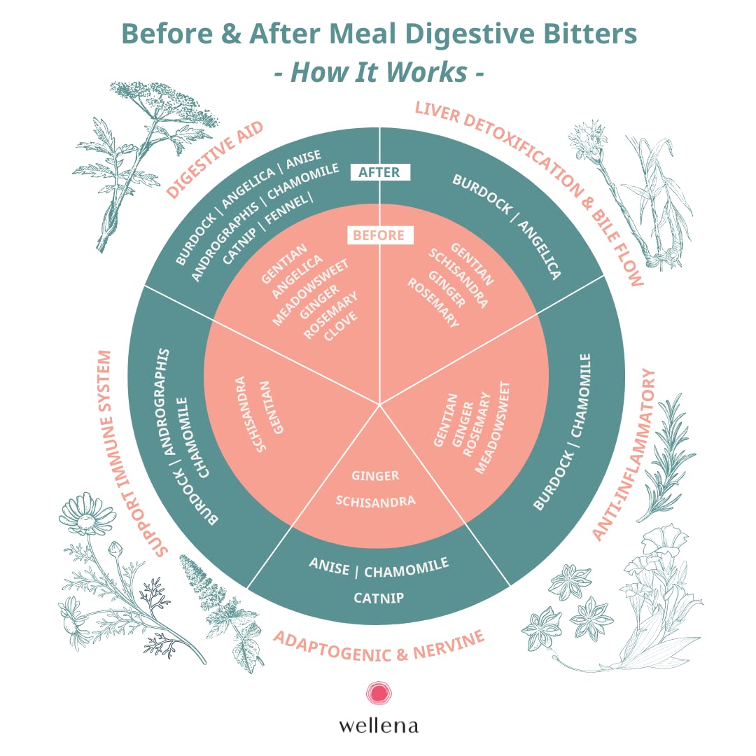 Wellena Liver & Digestive Bitters Kit – Before & After Meal Liquid Herbal Support