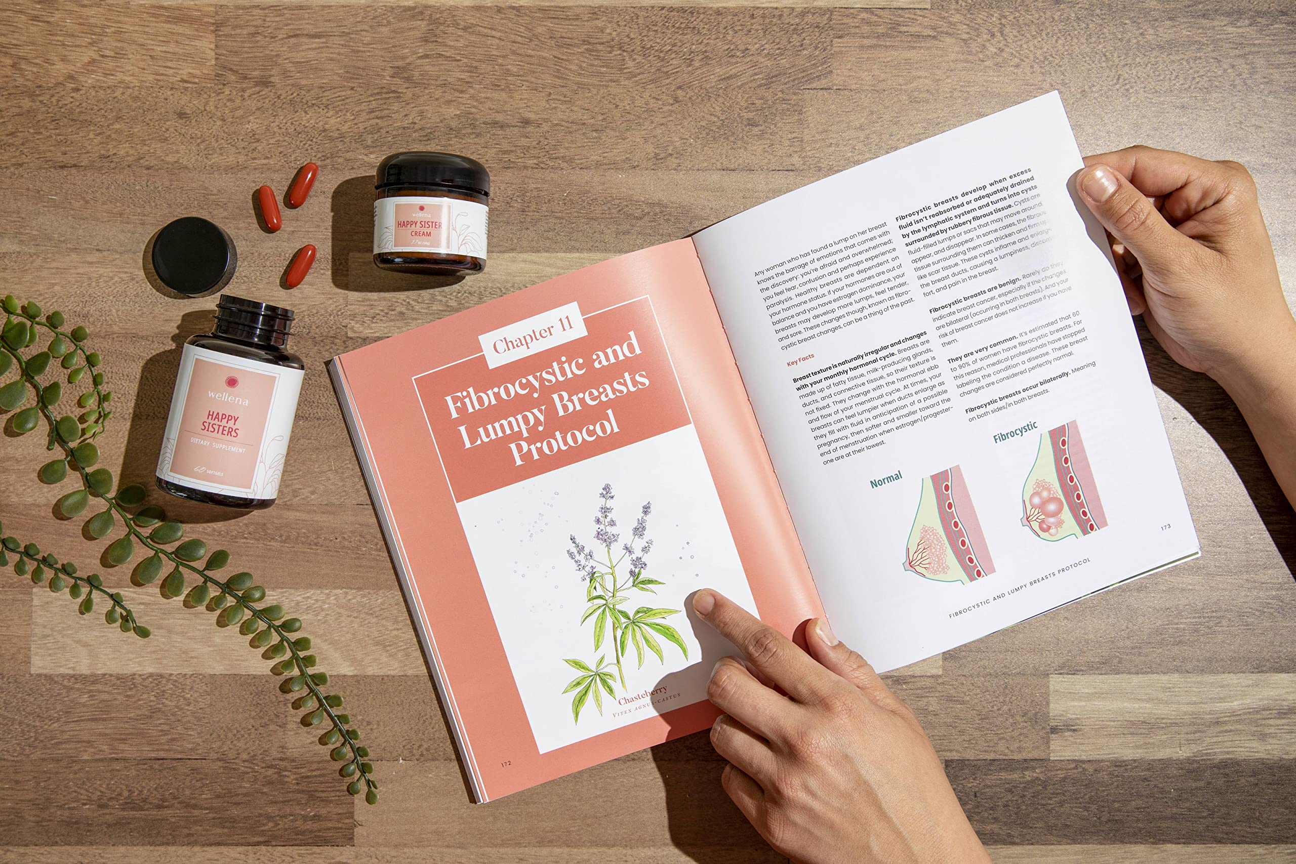 Happy Sisters Wellena Supplement by Magdalena | Supports Estrogen Balance, Lymphatic System, & More! | 60 Vegetarian Capsules, 60-Day Supply