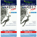 Wellgenix Bio-Available Sublingual B12 Max - High-Absorption B-Complex (60 Ct) 2-Pack