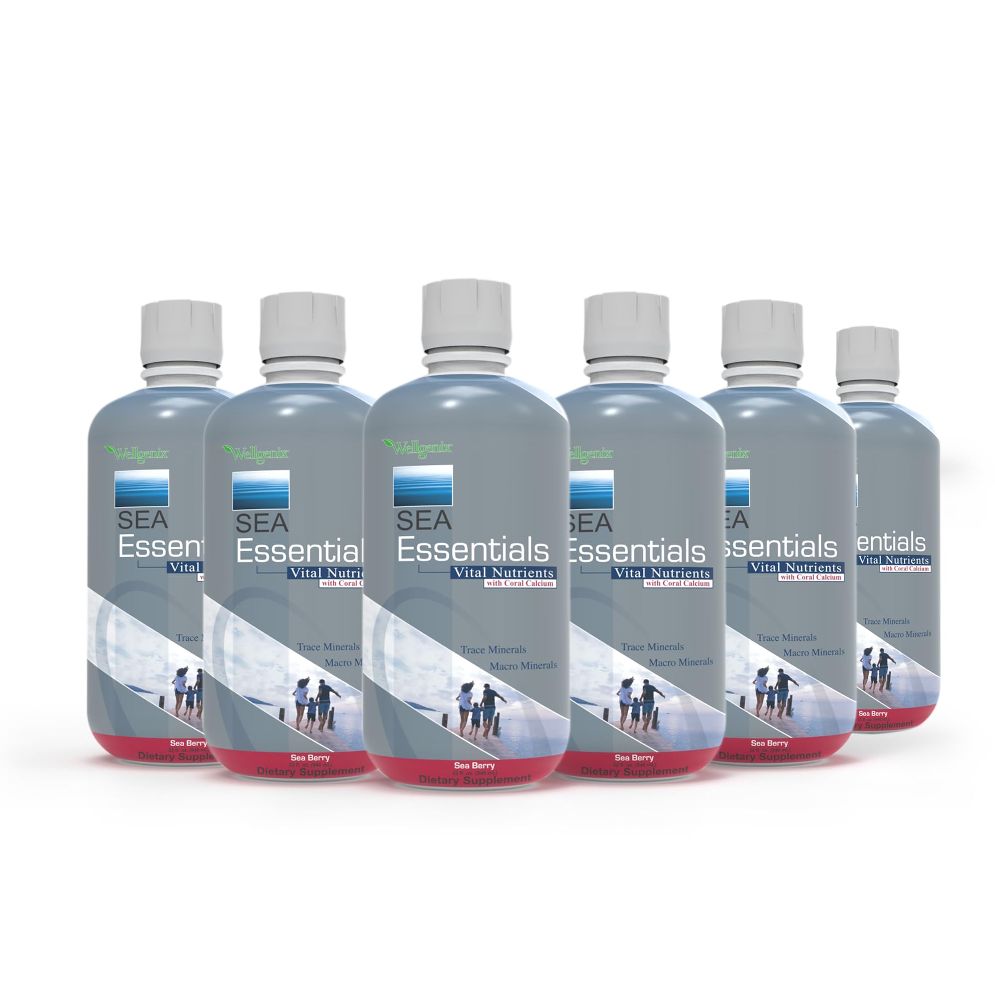 Wellgenix Sea Essentials Liquid Mineral Supplement – Sea Berry Flavor, Coral Calcium & Sea Vegetables (32 fl oz x 6)