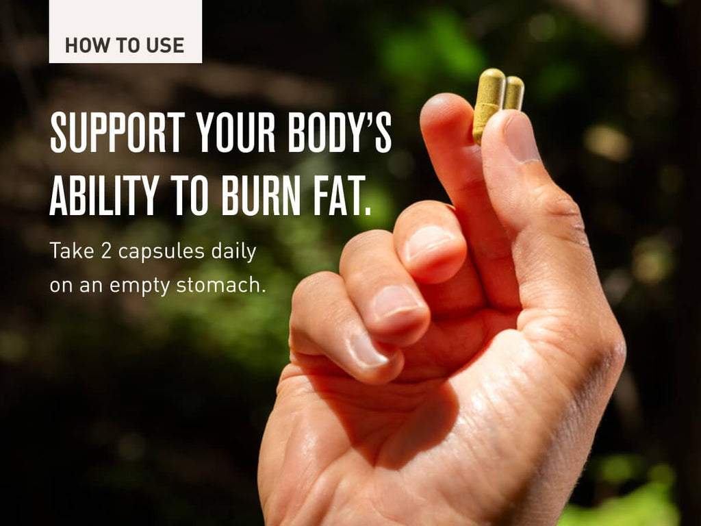 ROUNDHOUSE PROVISION Three Hit Combo – Fat Burner, Energy & Wellness (60 Capsules)