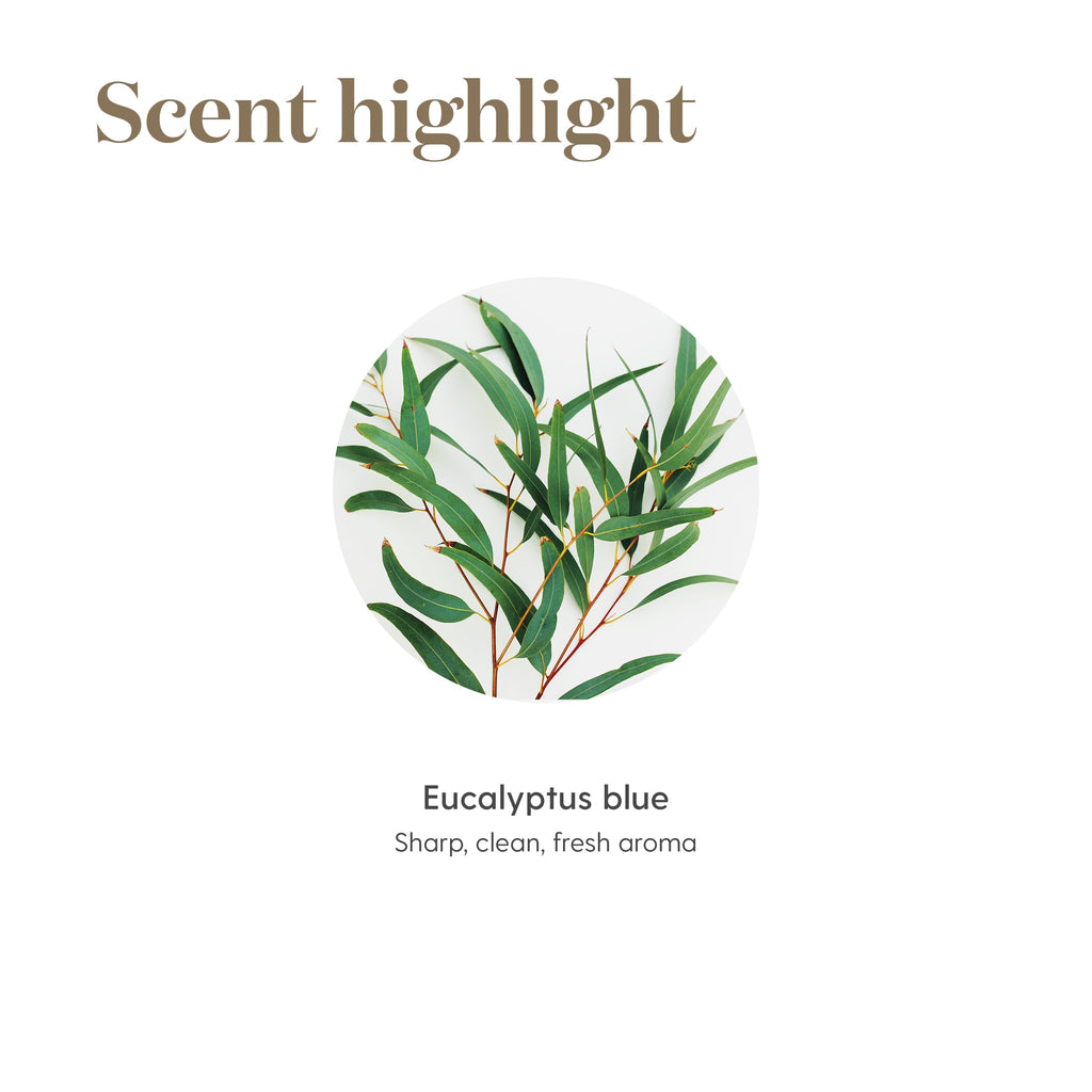 Young Living Eucalyptus Blue Essential Oil – 5 ml | Pure Botanical Extract for Diffusers & Aromatherapy