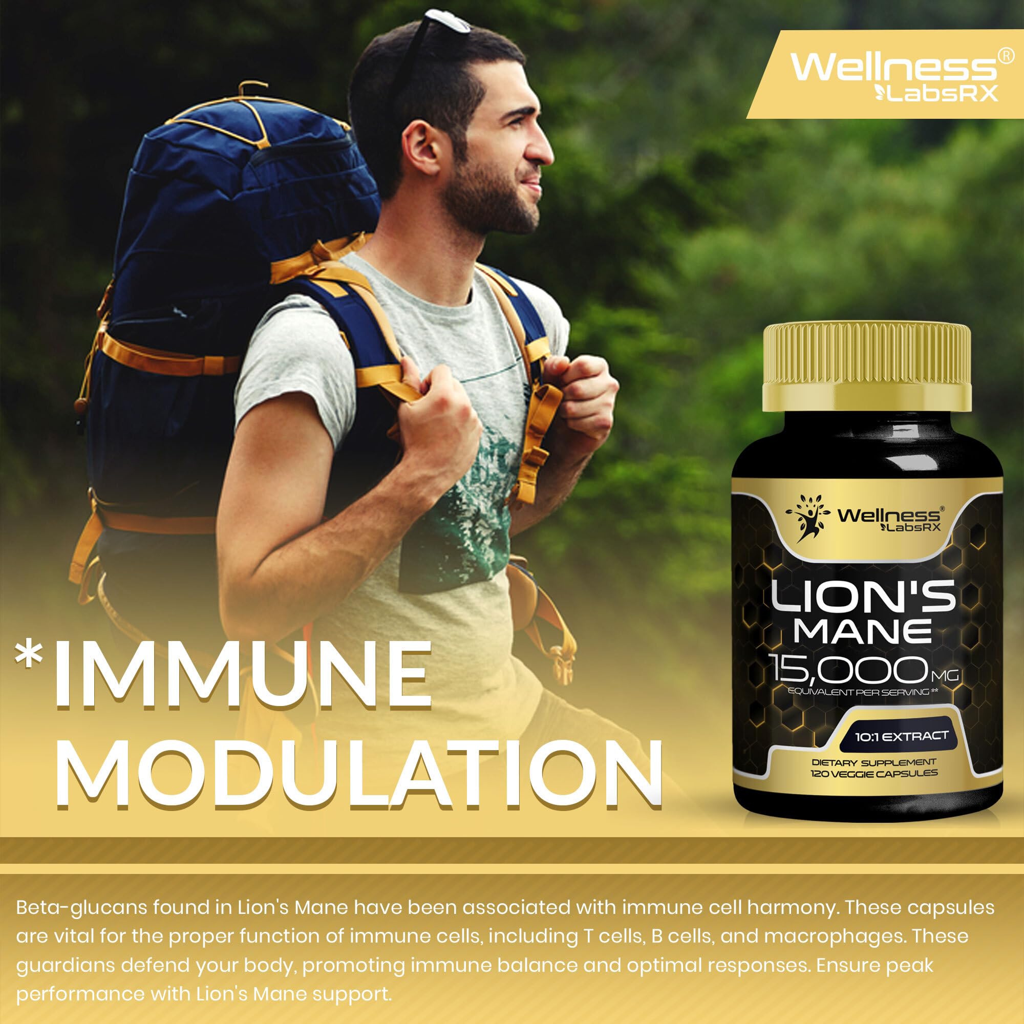 Lion's Mane Supplement Capsules - 120 Count | Cognitive & Immune Support
