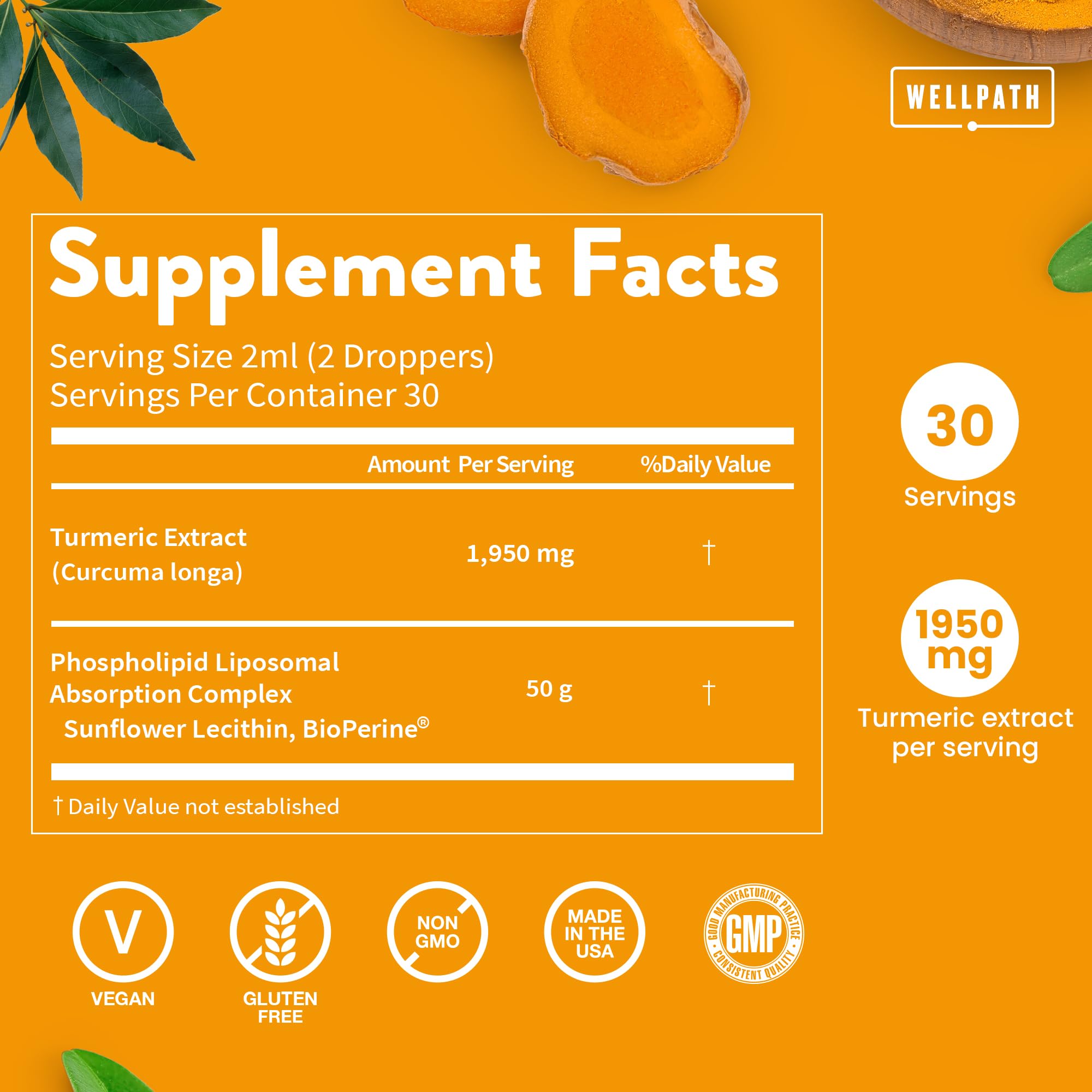 WellPath Liposomal Curcumin | Liquid Turmeric Drops with Black Pepper – Enhanced Absorption | Non-GMO, Vegan | 2 oz